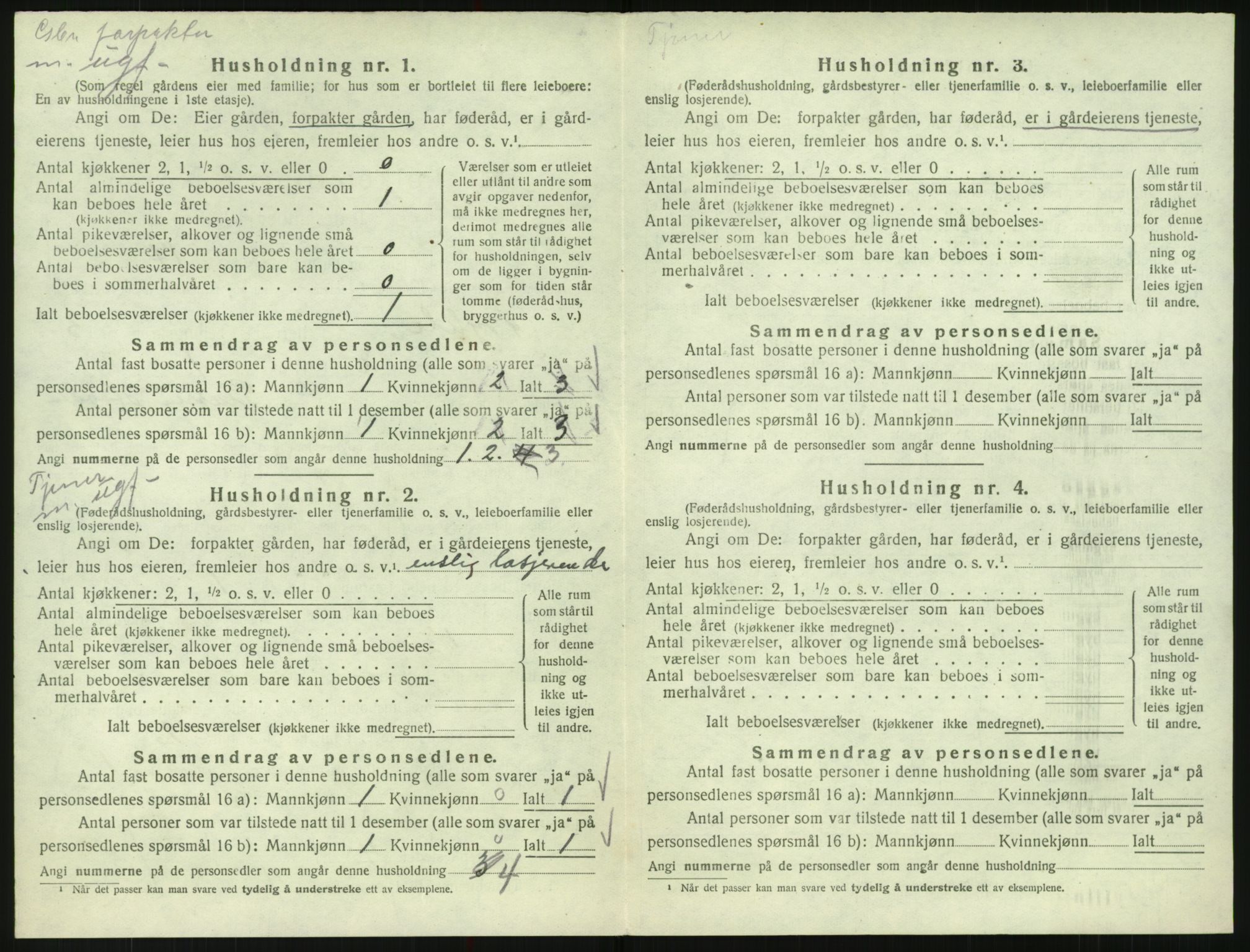 SAK, Folketelling 1920 for 0941 Bykle herred, 1920, s. 196