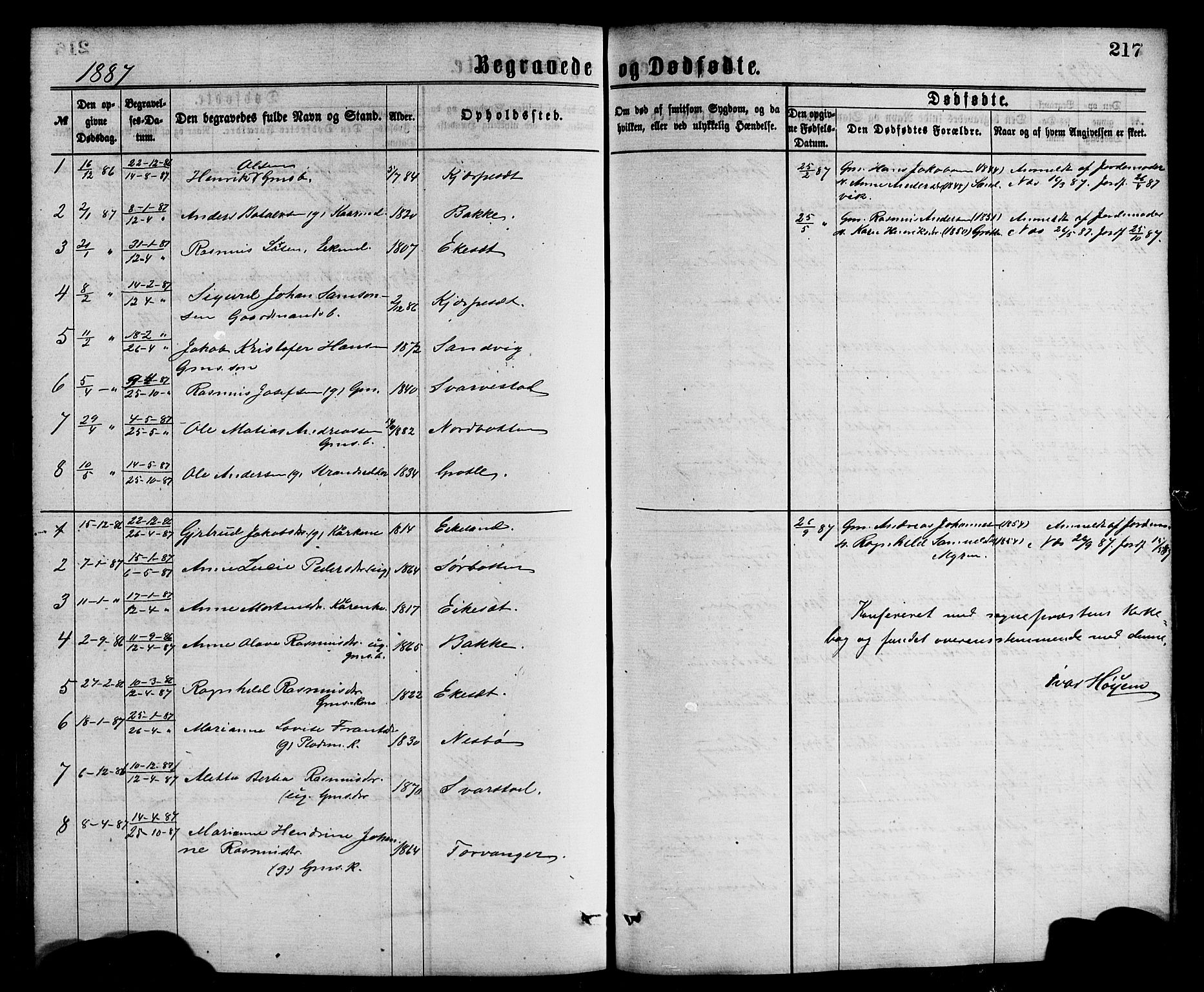Bremanger sokneprestembete, AV/SAB-A-82201/H/Hab/Haba/L0002: Klokkerbok nr. A 2, 1866-1889, s. 217