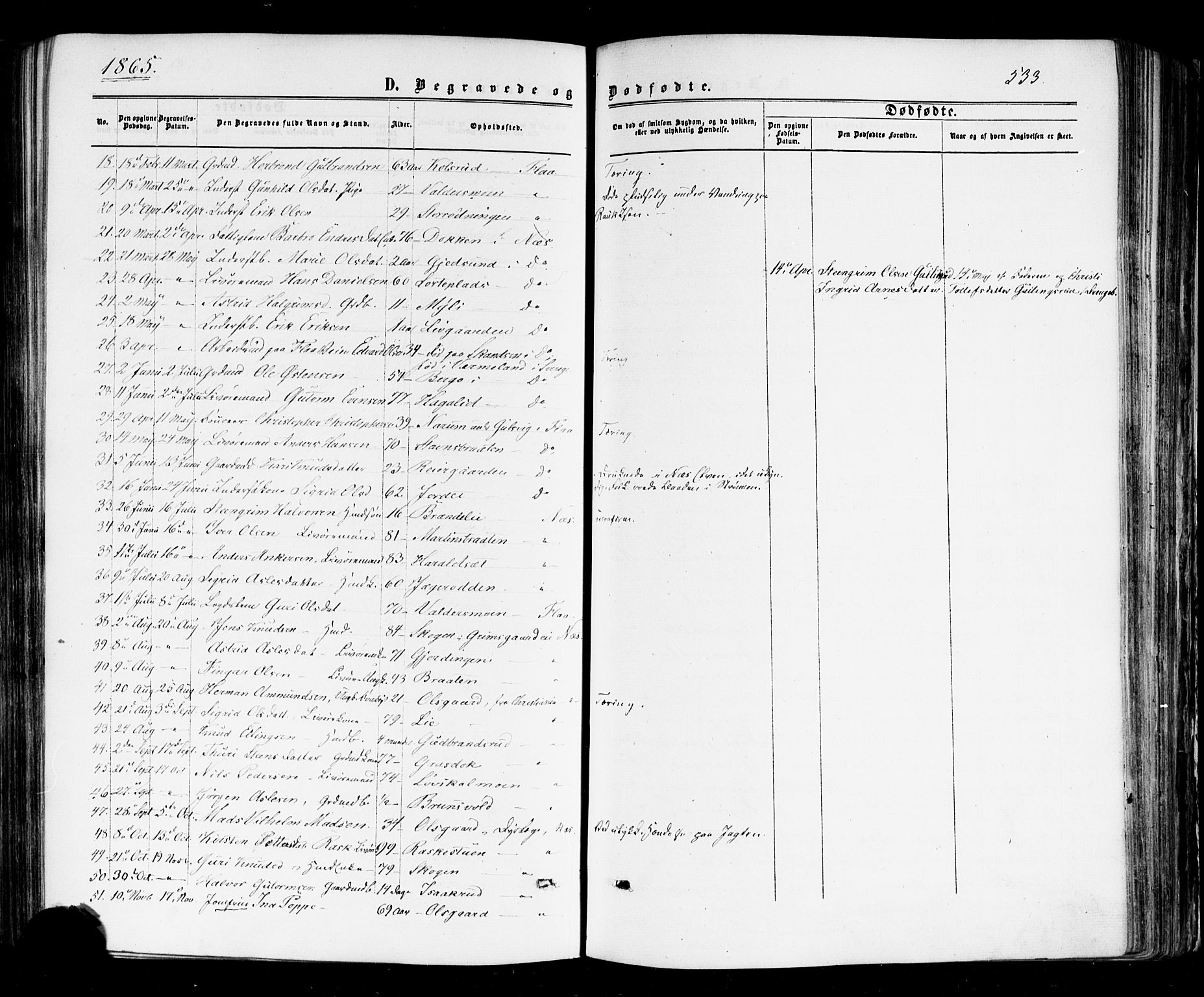 Nes kirkebøker, AV/SAKO-A-236/F/Fa/L0010: Ministerialbok nr. 10, 1864-1880, s. 533