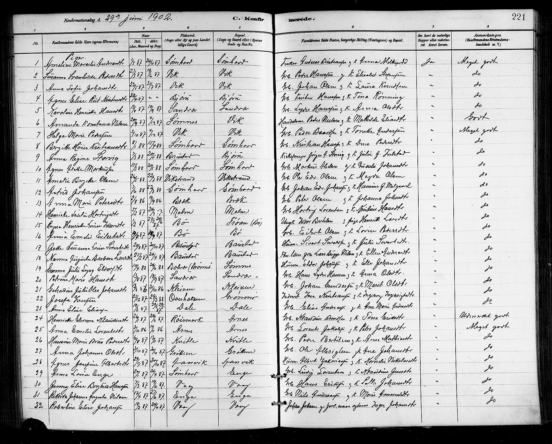 Ministerialprotokoller, klokkerbøker og fødselsregistre - Nordland, AV/SAT-A-1459/812/L0188: Klokkerbok nr. 812C06, 1884-1912, s. 221