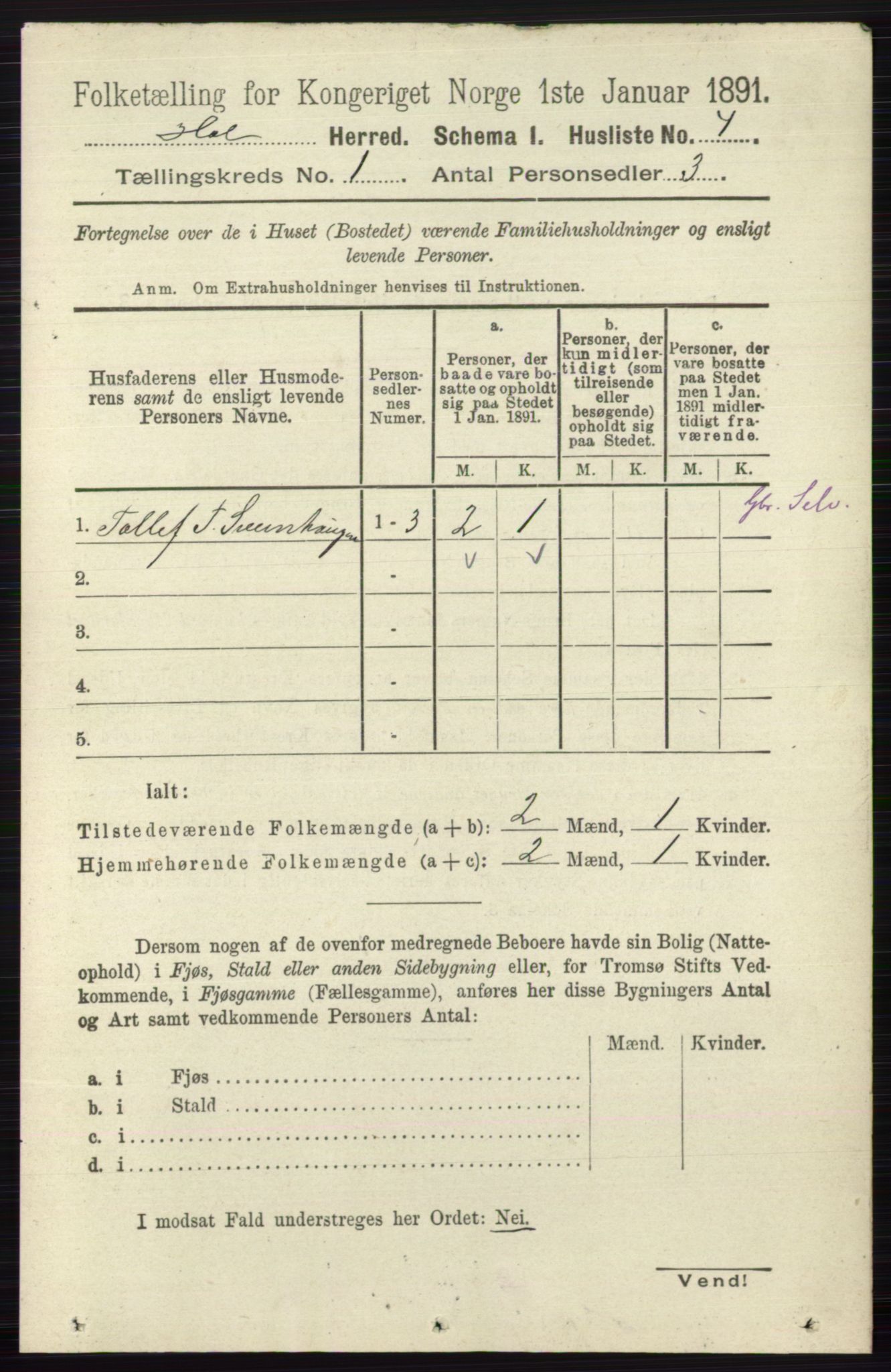 RA, Folketelling 1891 for 0620 Hol herred, 1891, s. 29