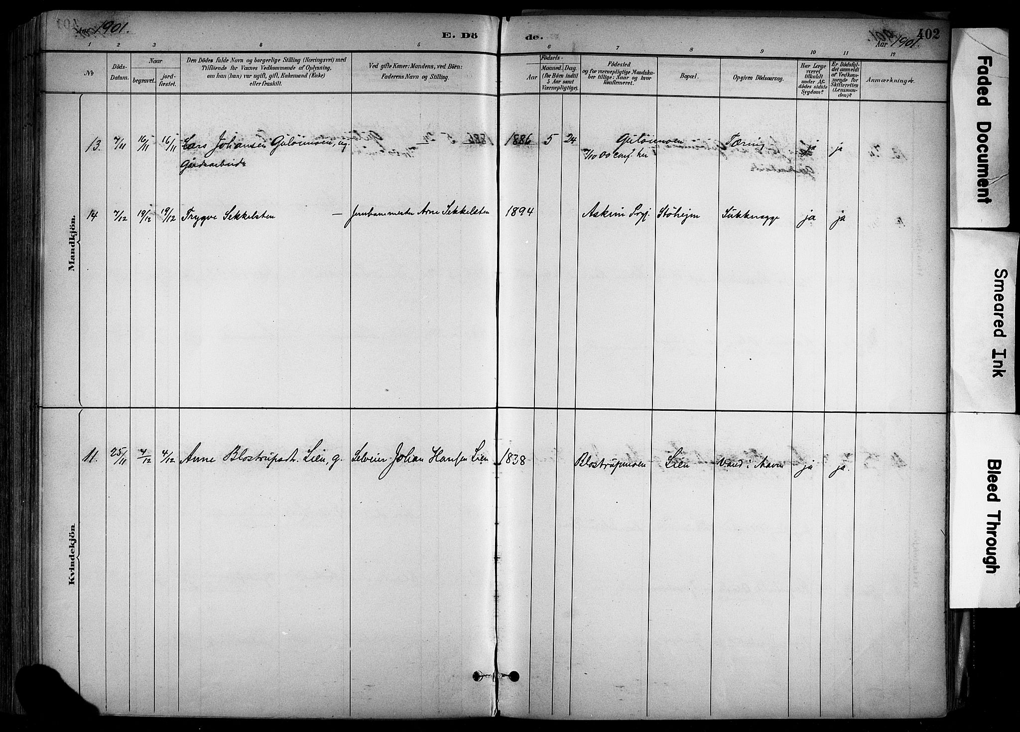 Alvdal prestekontor, SAH/PREST-060/H/Ha/Haa/L0002: Ministerialbok nr. 2, 1883-1906, s. 402