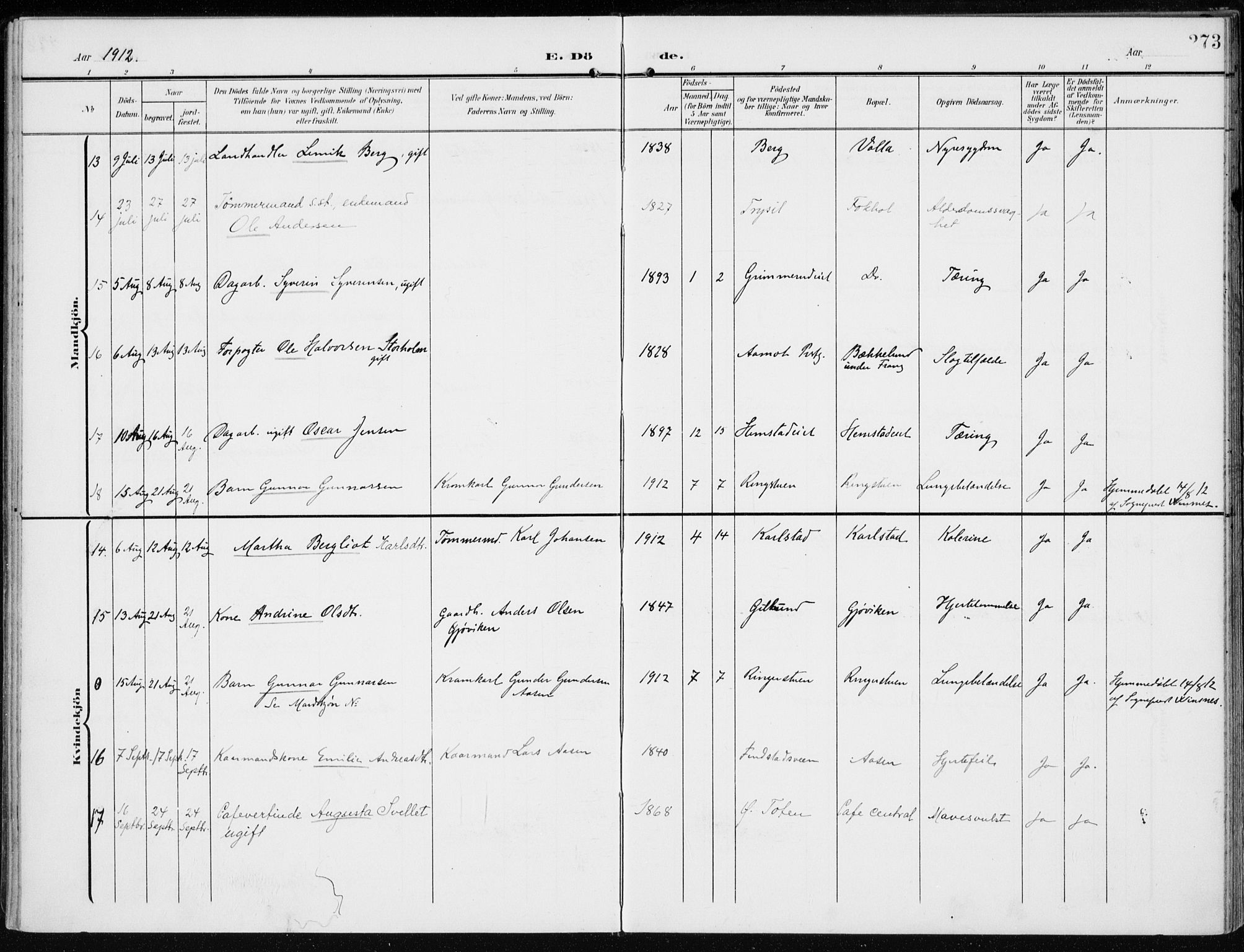 Stange prestekontor, AV/SAH-PREST-002/K/L0024: Ministerialbok nr. 24, 1906-1922, s. 273