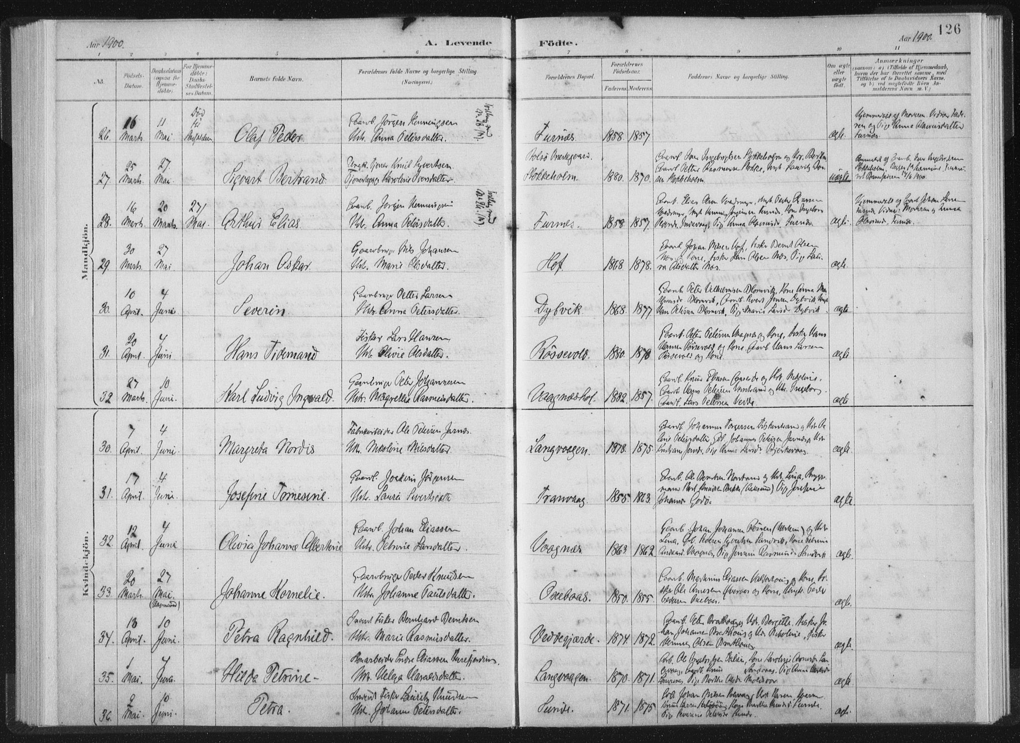 Ministerialprotokoller, klokkerbøker og fødselsregistre - Møre og Romsdal, AV/SAT-A-1454/528/L0405: Ministerialbok nr. 528A14, 1891-1906, s. 126