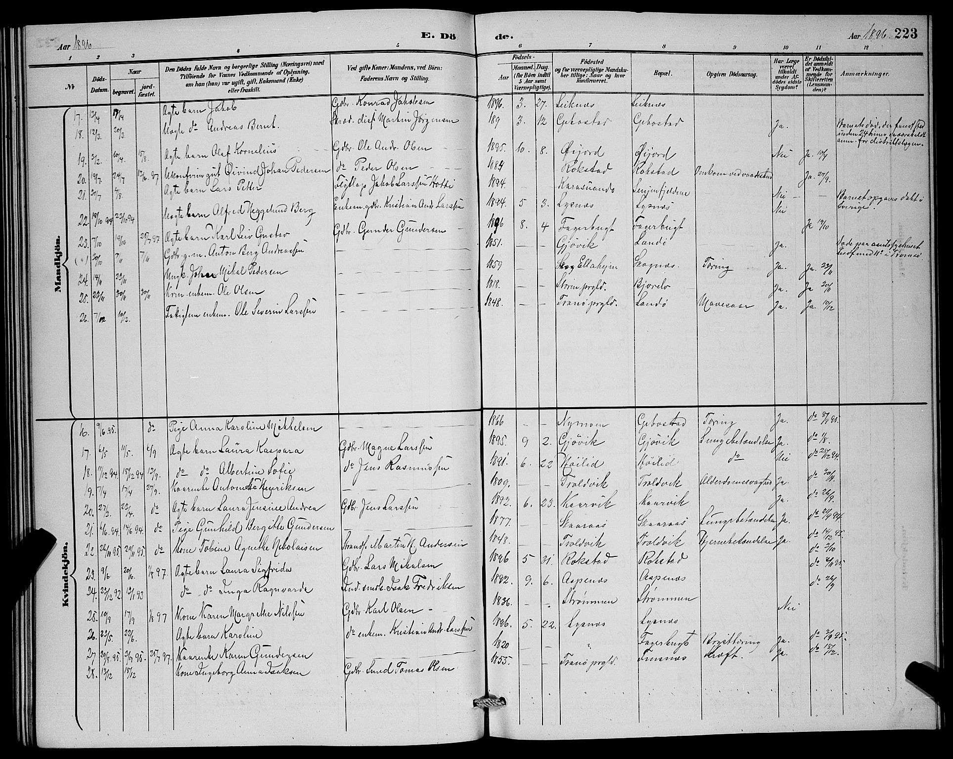 Lenvik sokneprestembete, AV/SATØ-S-1310/H/Ha/Hab/L0007klokker: Klokkerbok nr. 7, 1890-1898, s. 223