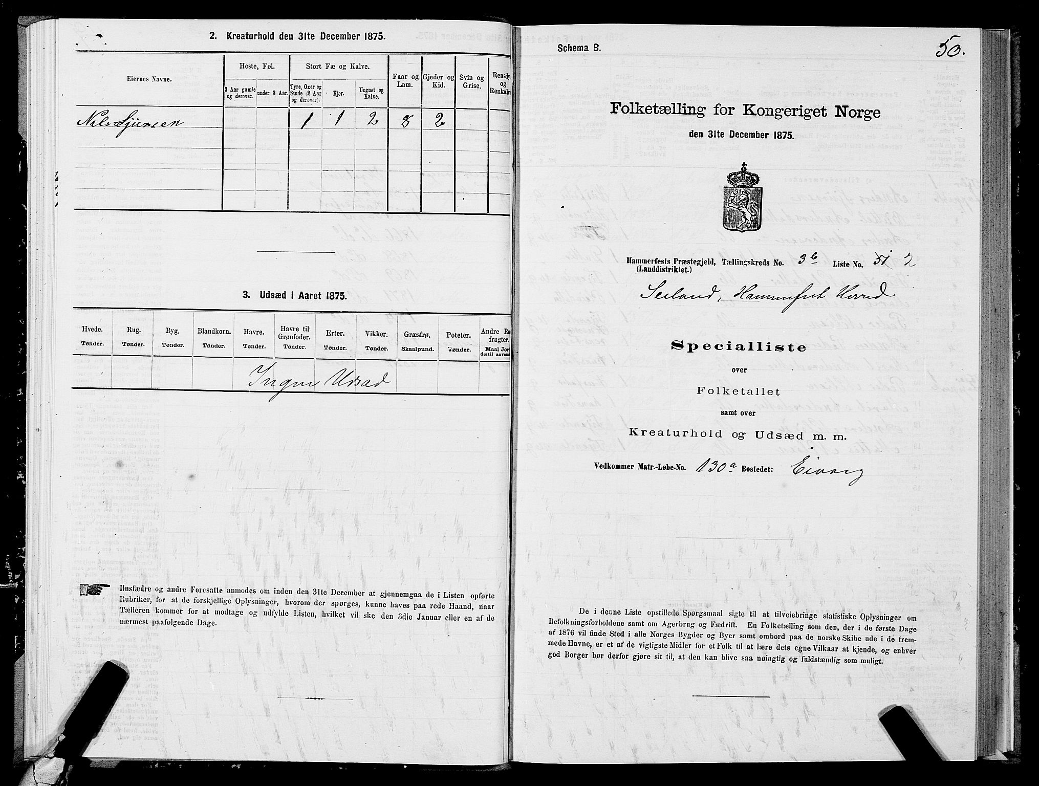 SATØ, Folketelling 1875 for 2016L Hammerfest prestegjeld, Hammerfest landsokn og Kvalsund sokn, 1875, s. 1050