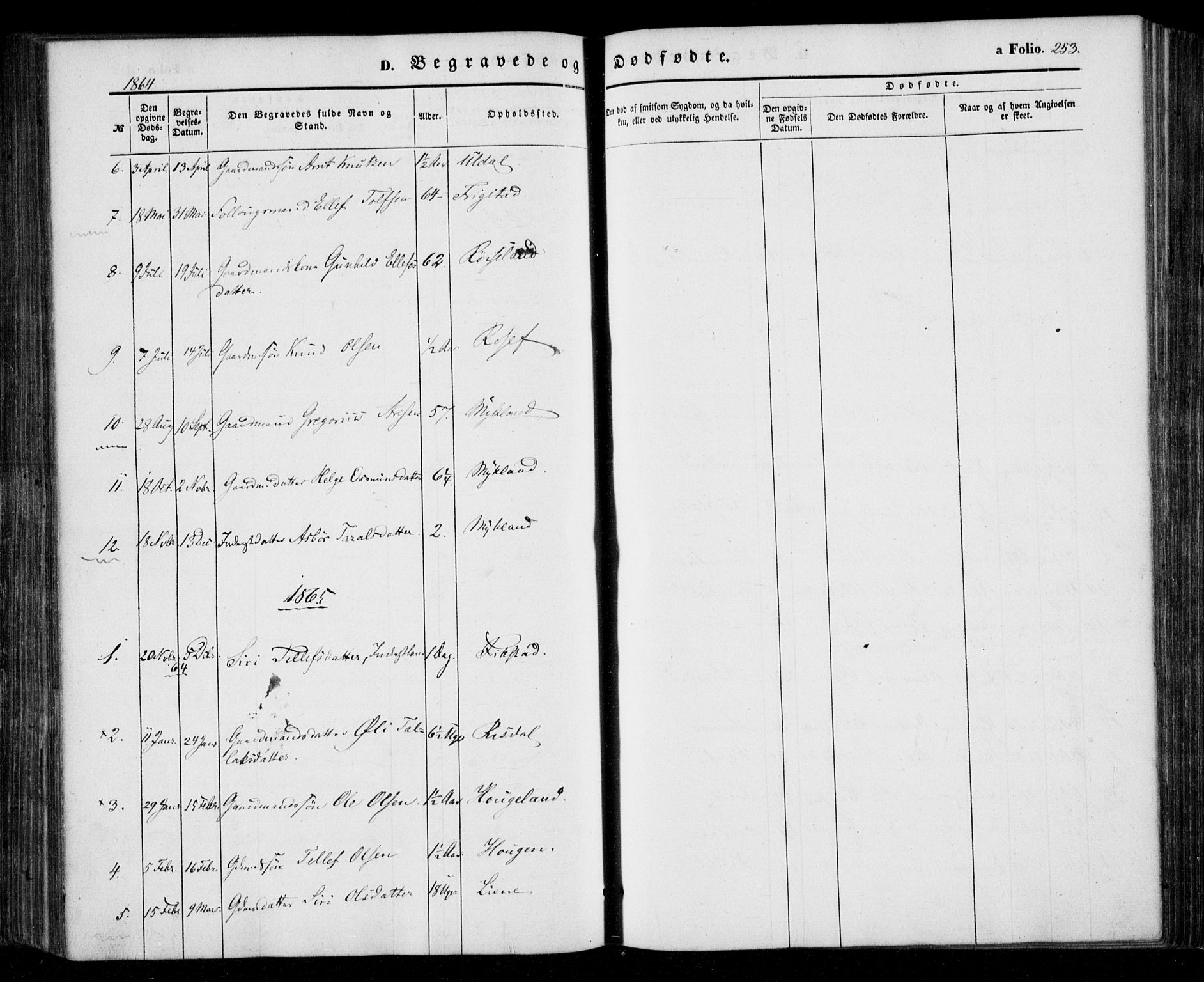 Åmli sokneprestkontor, AV/SAK-1111-0050/F/Fa/Fac/L0008: Ministerialbok nr. A 8, 1852-1869, s. 253