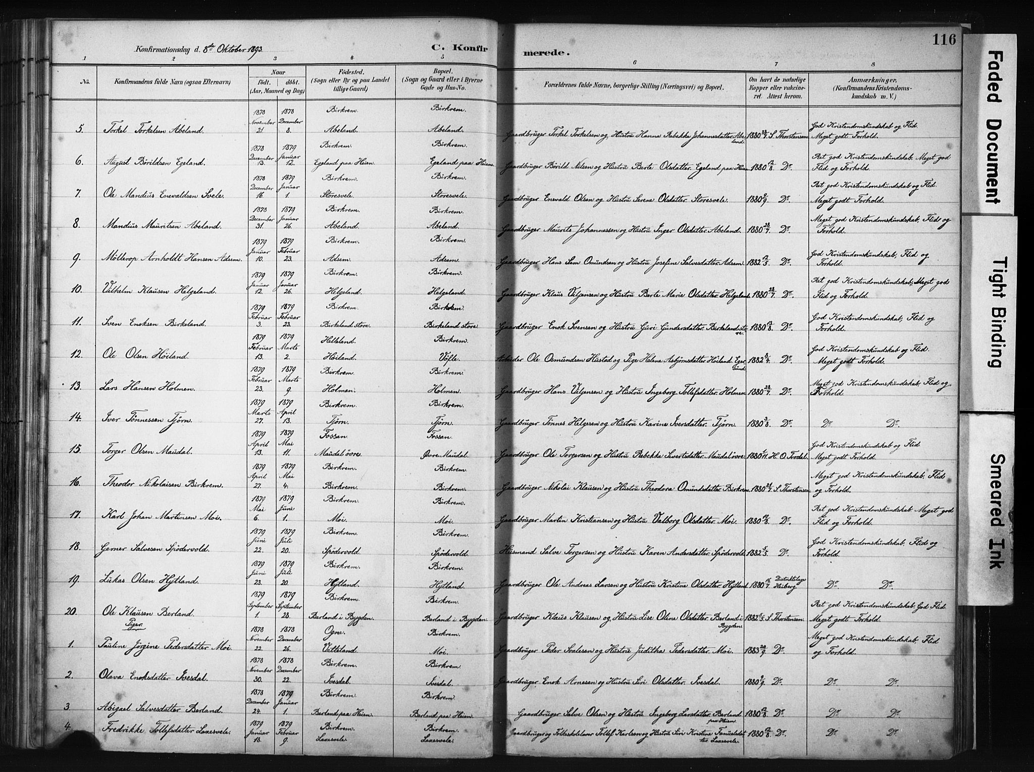 Helleland sokneprestkontor, AV/SAST-A-101810: Ministerialbok nr. A 9, 1887-1908, s. 116