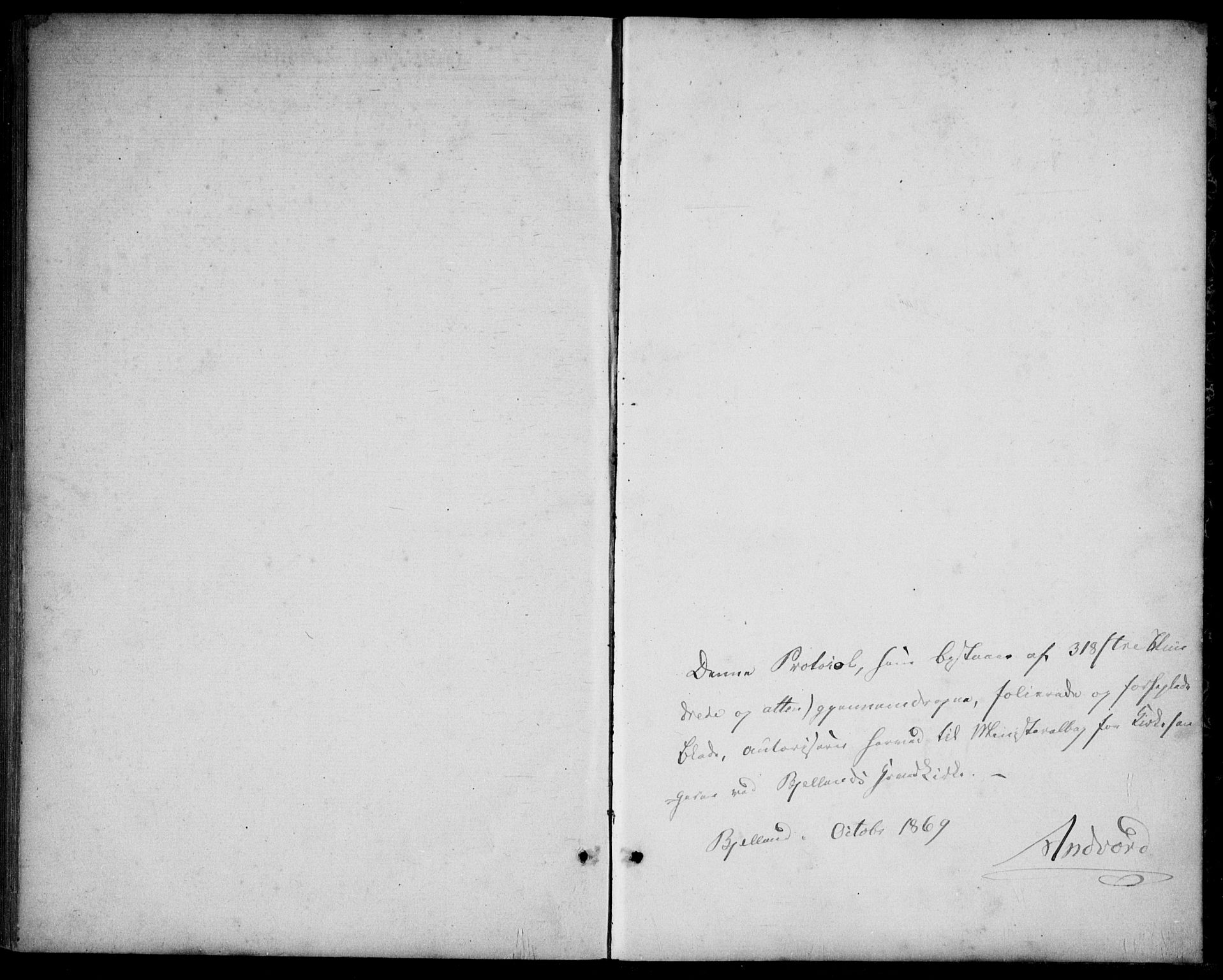 Bjelland sokneprestkontor, SAK/1111-0005/F/Fb/Fba/L0004: Klokkerbok nr. B 4, 1869-1886, s. 298