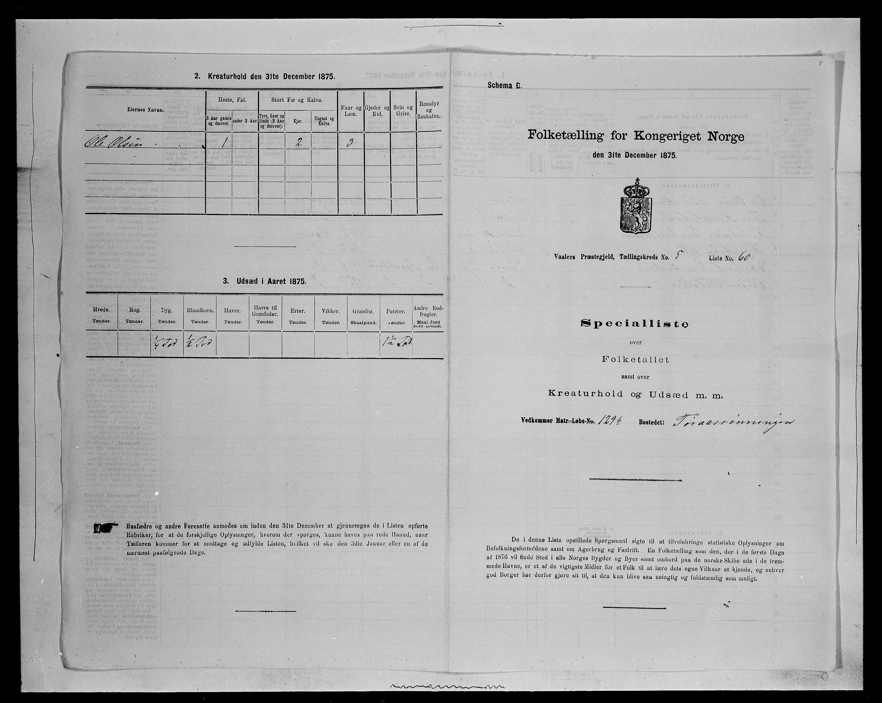 SAH, Folketelling 1875 for 0426P Våler prestegjeld (Hedmark), 1875, s. 706