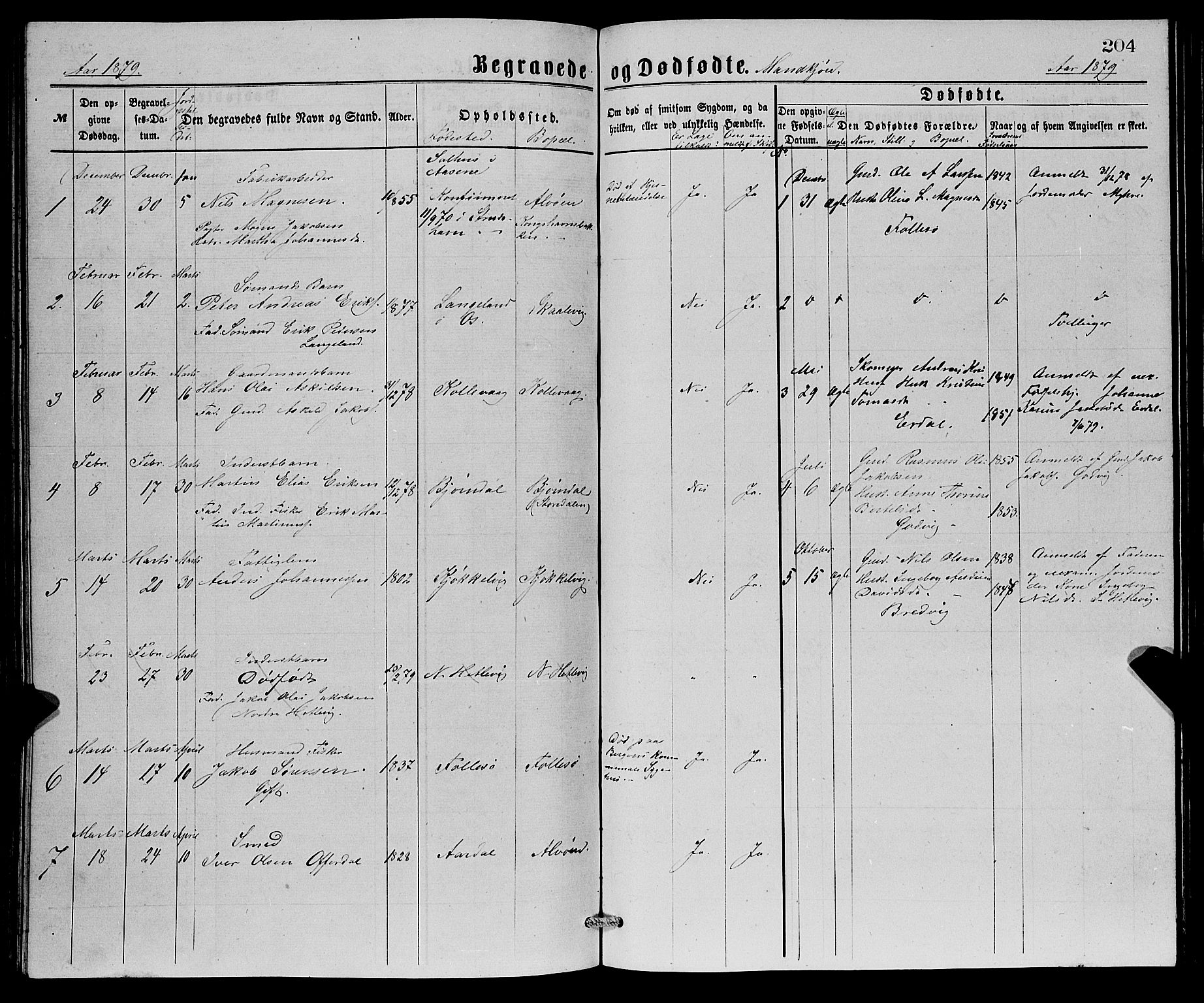 Askøy Sokneprestembete, AV/SAB-A-74101/H/Ha/Hab/Haba/L0007: Klokkerbok nr. A 7, 1871-1881, s. 204