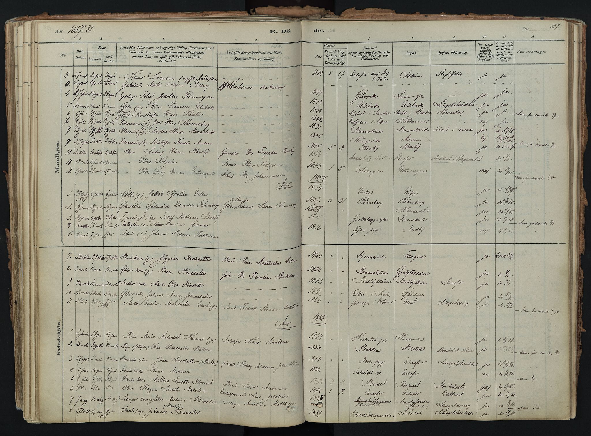 Hof kirkebøker, AV/SAKO-A-64/F/Fa/L0007: Ministerialbok nr. I 7, 1878-1940, s. 257