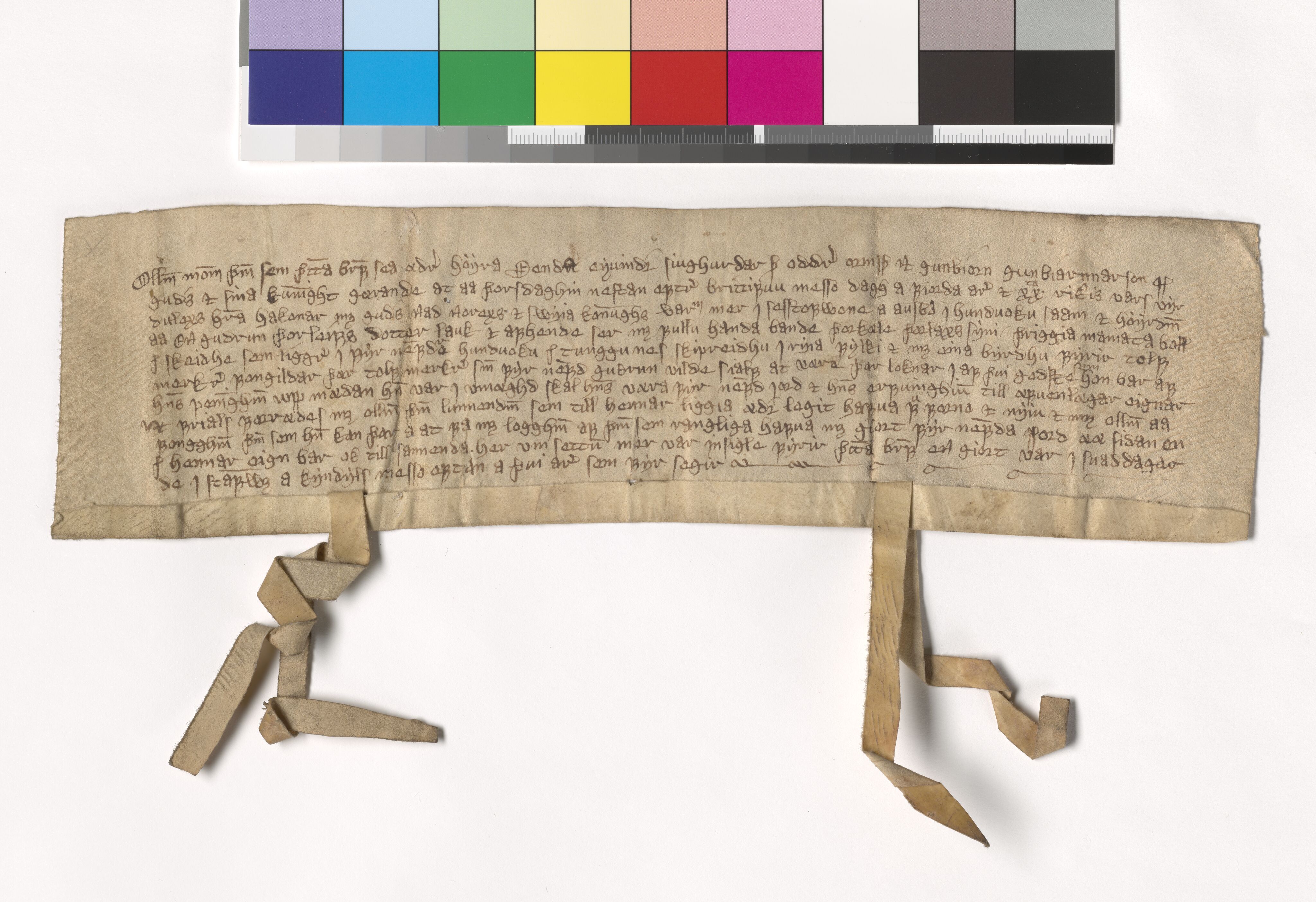 Riksarkivets diplomsamling, AV/RA-EA-5965/F05/L0113: NRA AM fasc. 36 nr. 13 -  fasc. 37 nr. 3, 1379-1384, s. 5