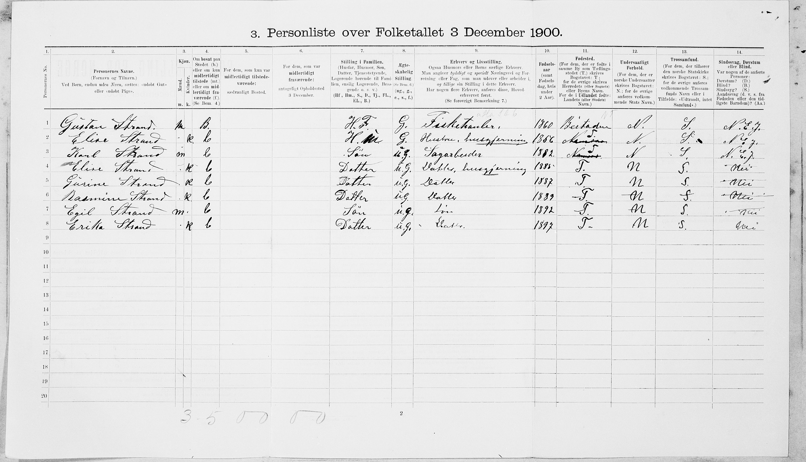SAT, Folketelling 1900 for 1703 Namsos ladested, 1900, s. 205