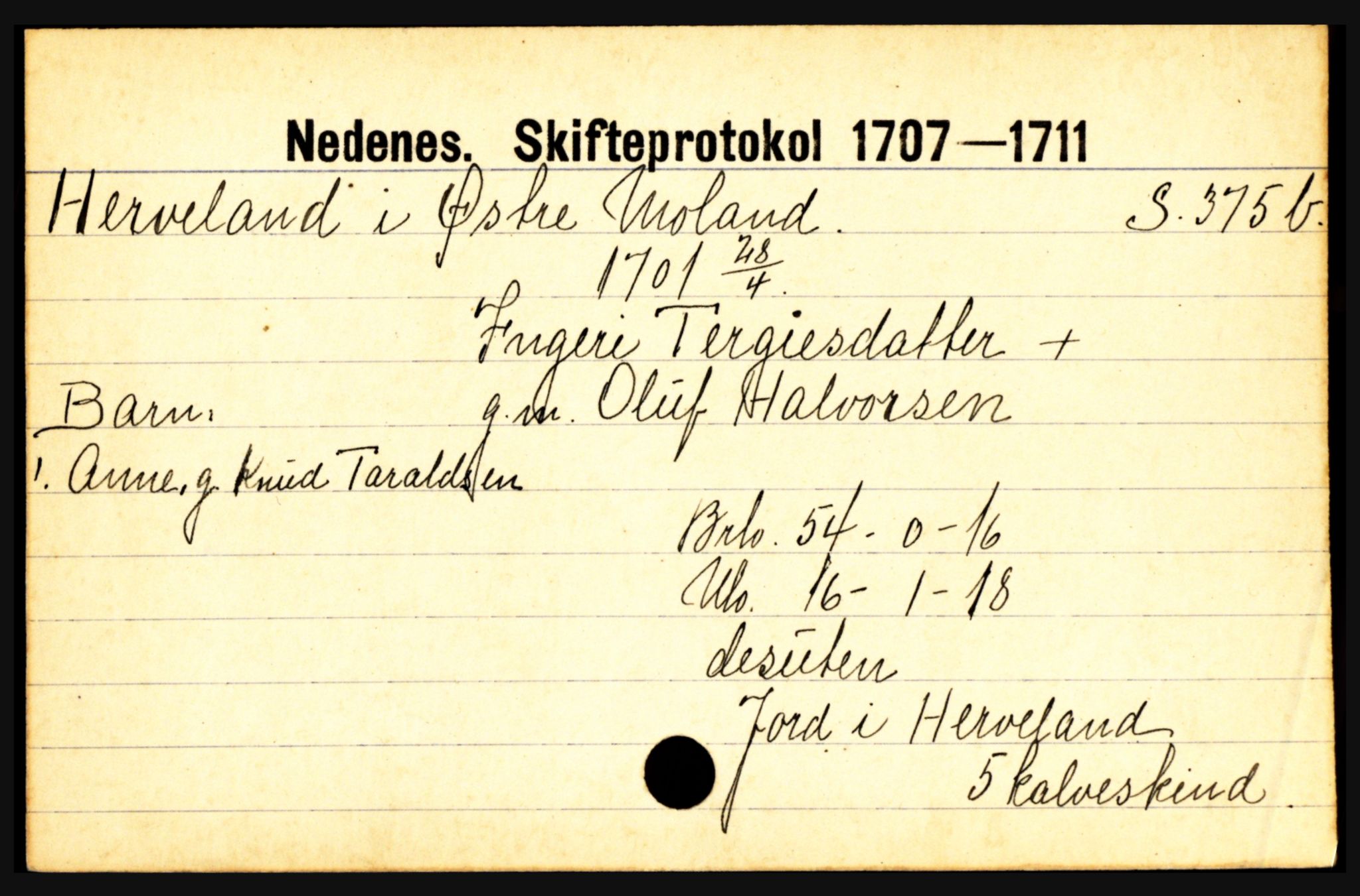Nedenes sorenskriveri før 1824, AV/SAK-1221-0007/H, s. 11825