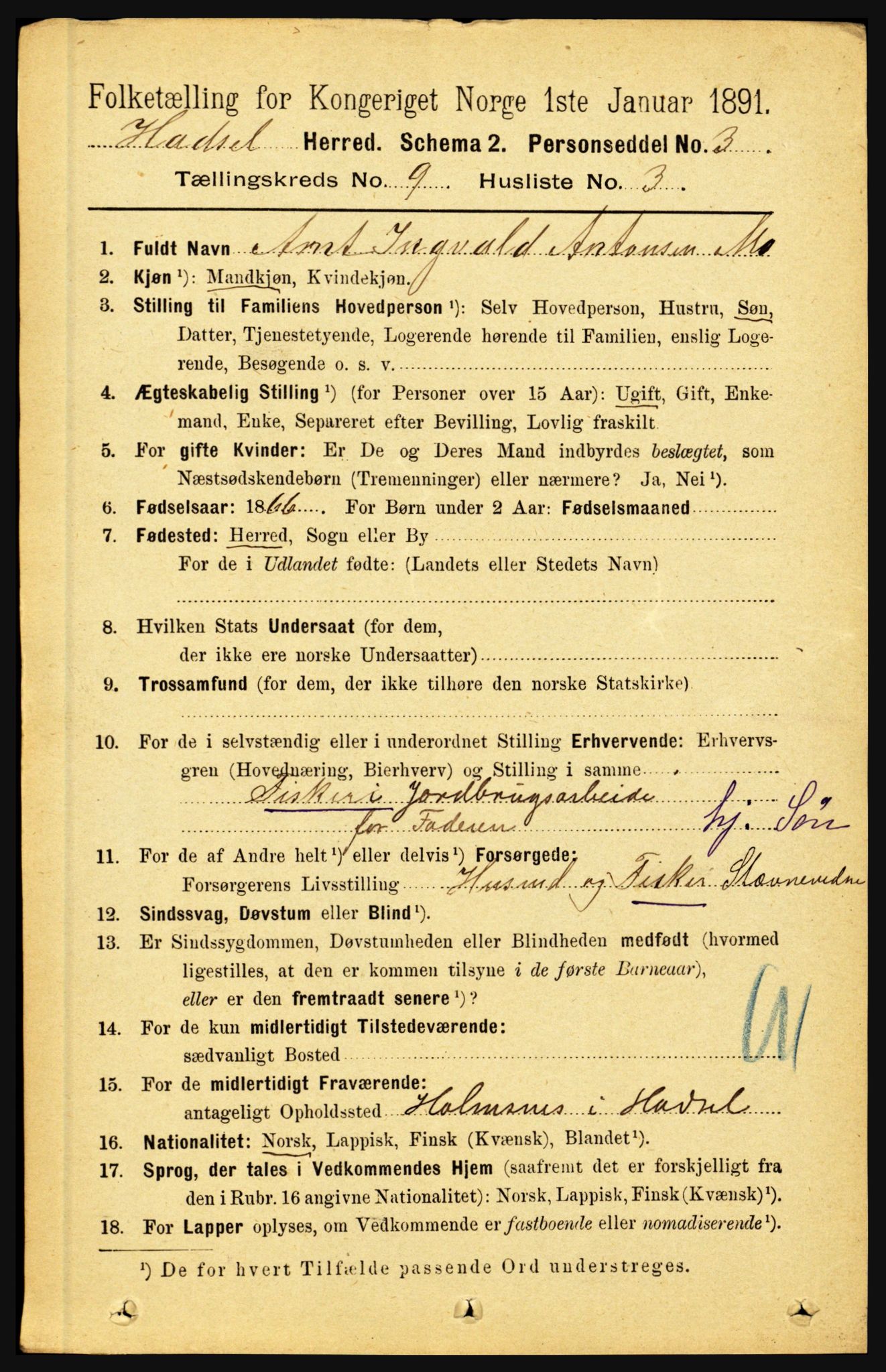 RA, Folketelling 1891 for 1866 Hadsel herred, 1891, s. 3929