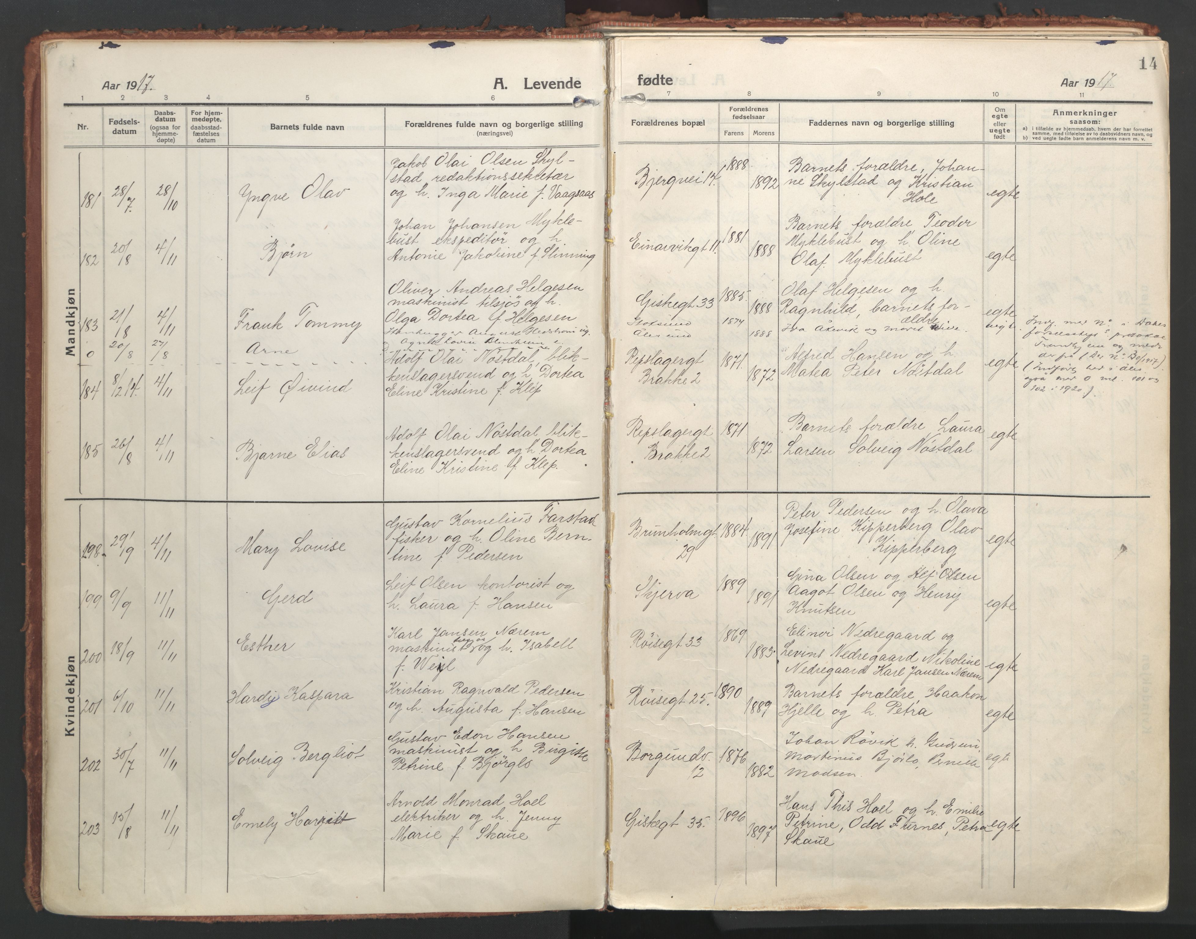 Ministerialprotokoller, klokkerbøker og fødselsregistre - Møre og Romsdal, AV/SAT-A-1454/529/L0462: Ministerialbok nr. 529A12, 1917-1924, s. 14