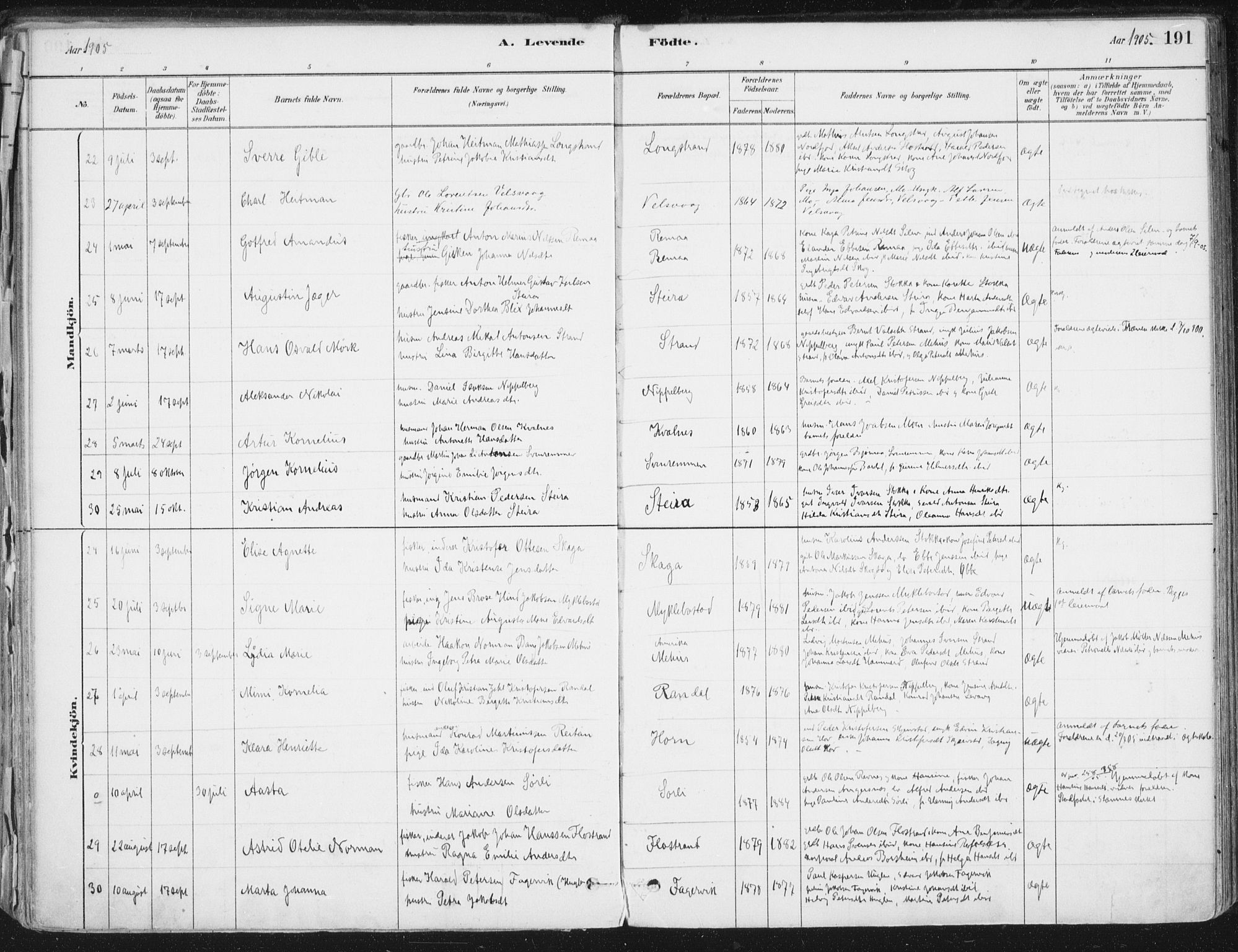 Ministerialprotokoller, klokkerbøker og fødselsregistre - Nordland, SAT/A-1459/838/L0552: Ministerialbok nr. 838A10, 1880-1910, s. 191