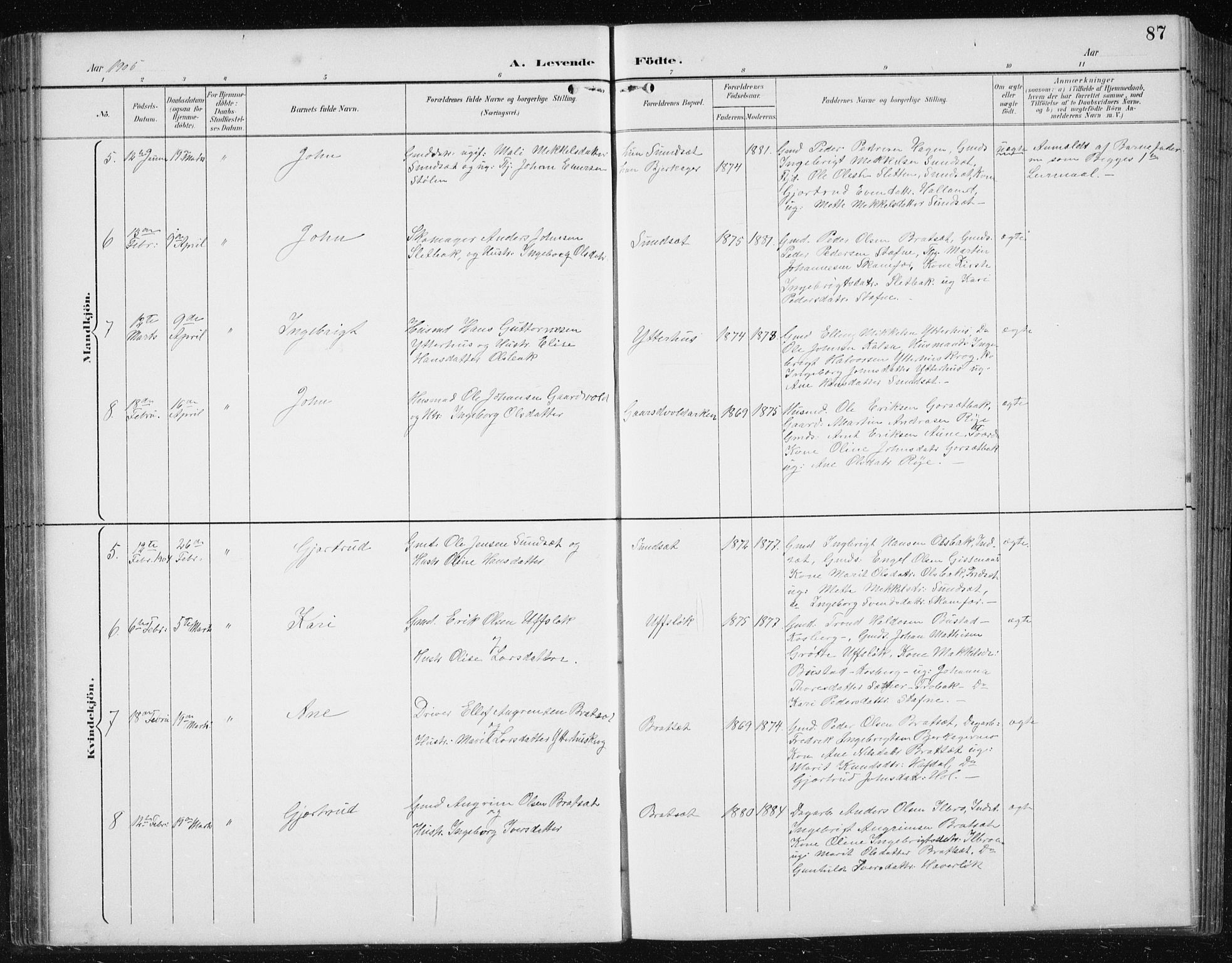 Ministerialprotokoller, klokkerbøker og fødselsregistre - Sør-Trøndelag, AV/SAT-A-1456/674/L0876: Klokkerbok nr. 674C03, 1892-1912, s. 87