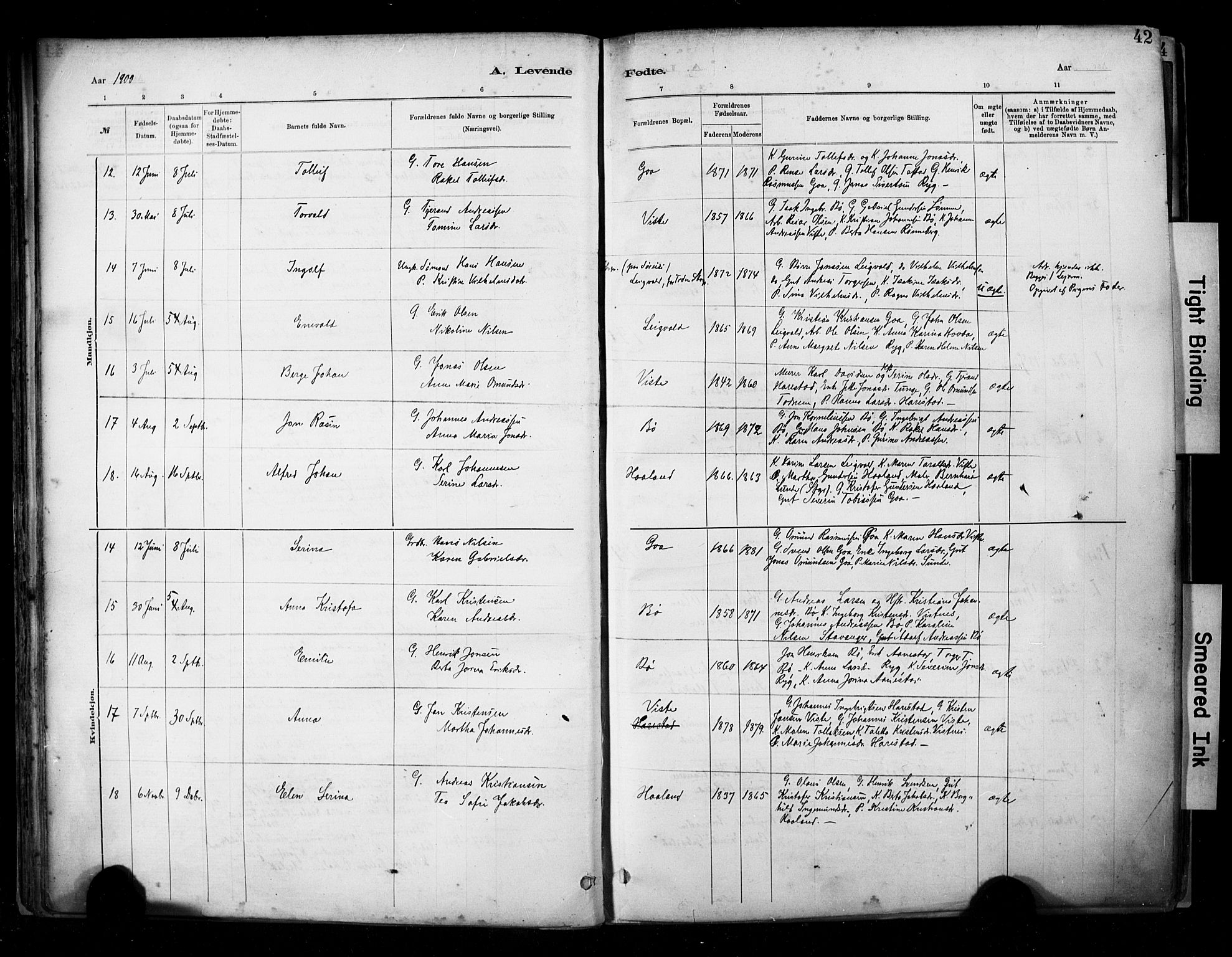Hetland sokneprestkontor, AV/SAST-A-101826/30/30BA/L0009: Ministerialbok nr. A 9, 1882-1918, s. 42