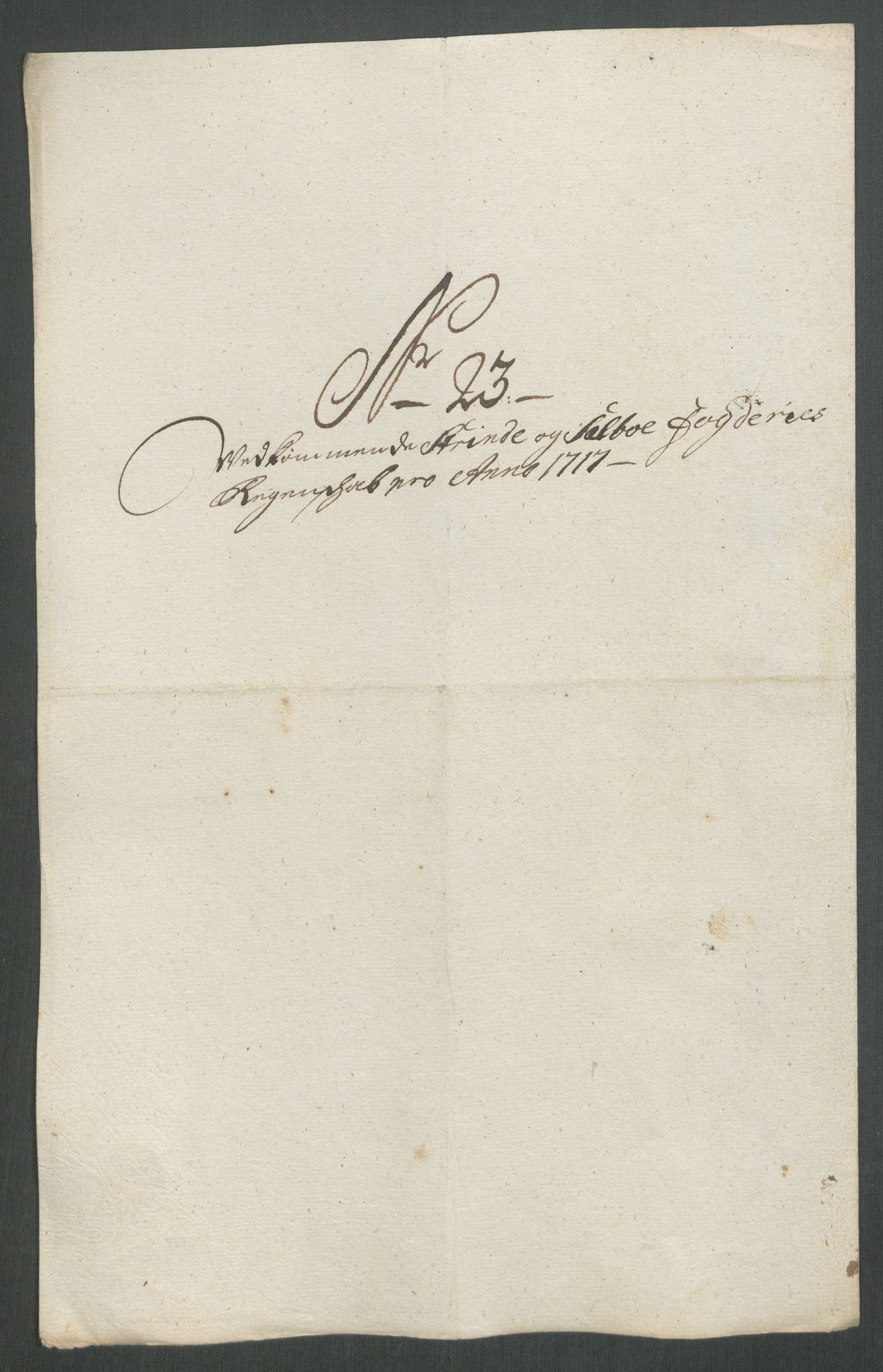 Rentekammeret inntil 1814, Reviderte regnskaper, Fogderegnskap, RA/EA-4092/R61/L4116: Fogderegnskap Strinda og Selbu, 1717-1718, s. 186