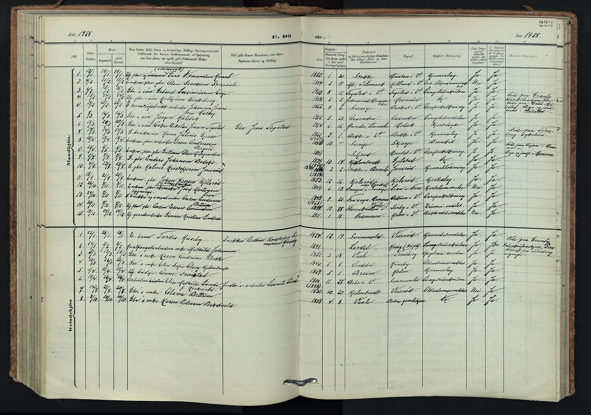 Våle kirkebøker, AV/SAKO-A-334/F/Fa/L0012: Ministerialbok nr. I 12, 1907-1934, s. 223