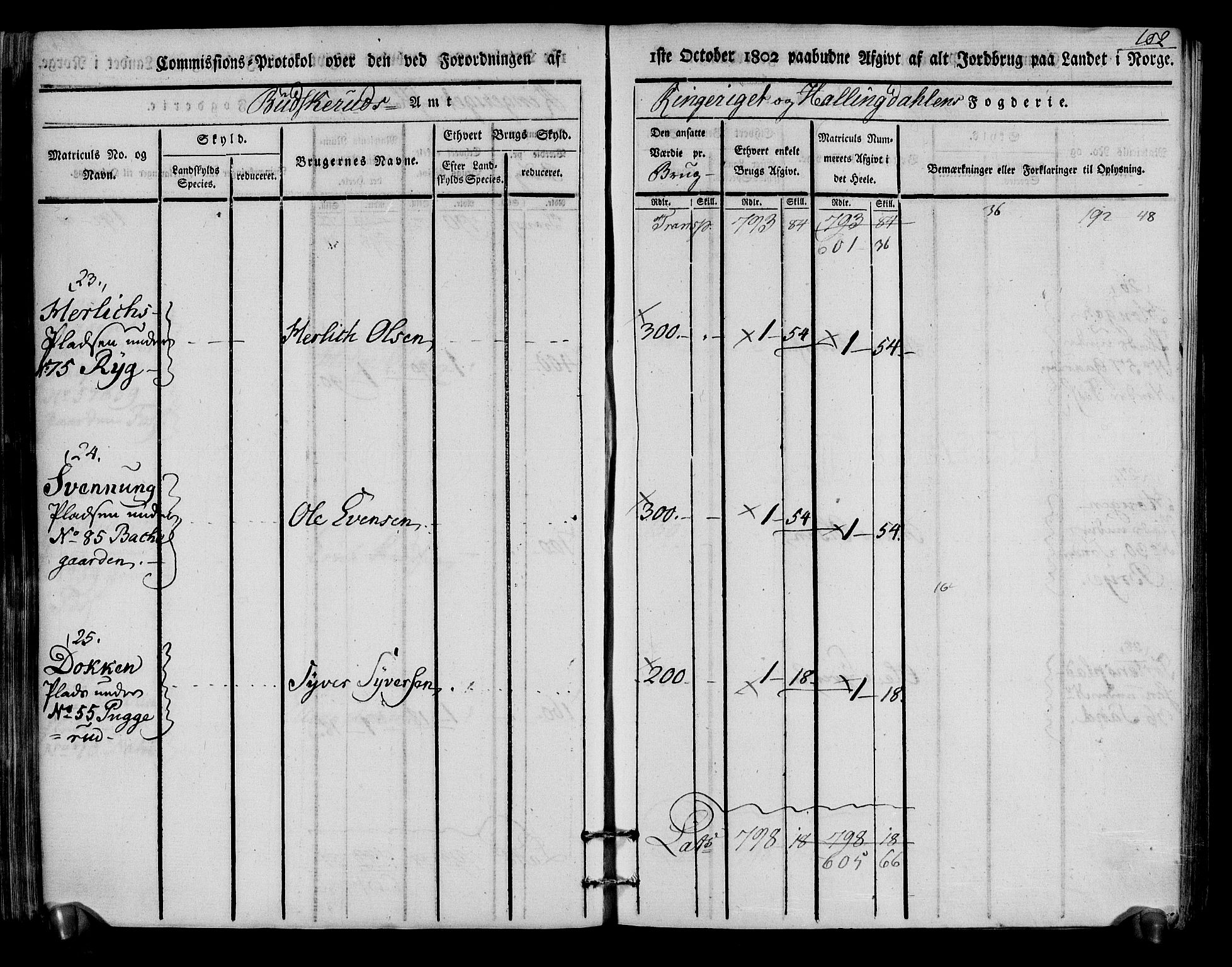 Rentekammeret inntil 1814, Realistisk ordnet avdeling, RA/EA-4070/N/Ne/Nea/L0048: Ringerike og Hallingdal fogderi. Kommisjonsprotokoll for Ål prestegjeld, 1803, s. 106