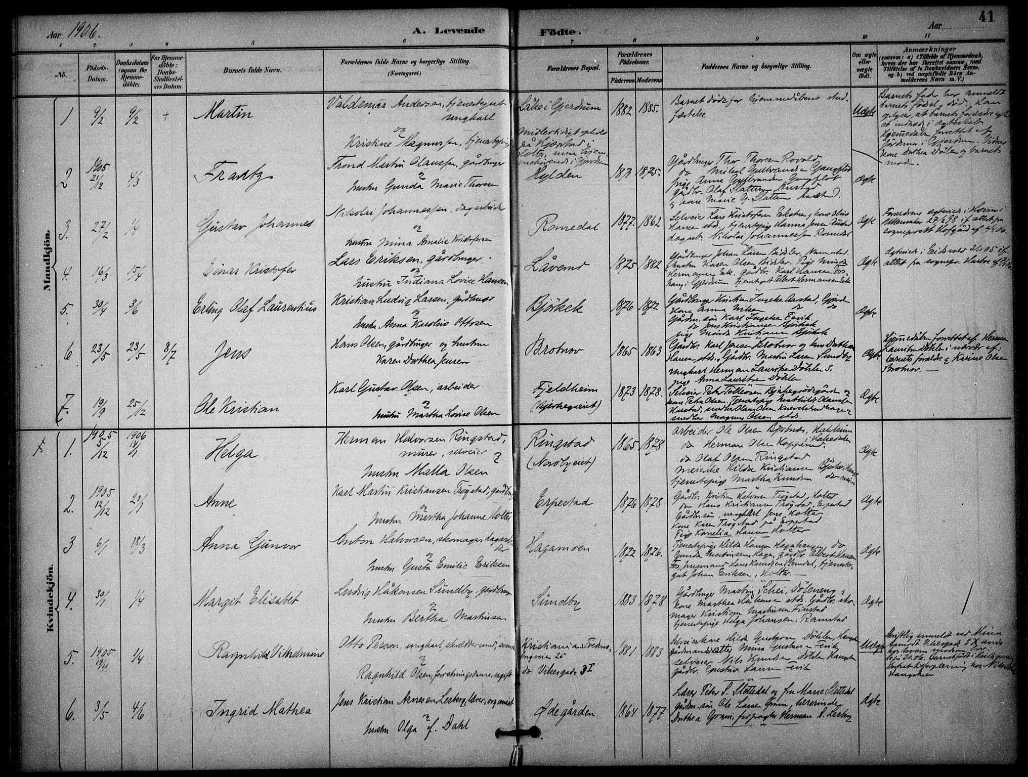 Nannestad prestekontor Kirkebøker, AV/SAO-A-10414a/F/Fb/L0002: Ministerialbok nr. II 2, 1891-1909, s. 41