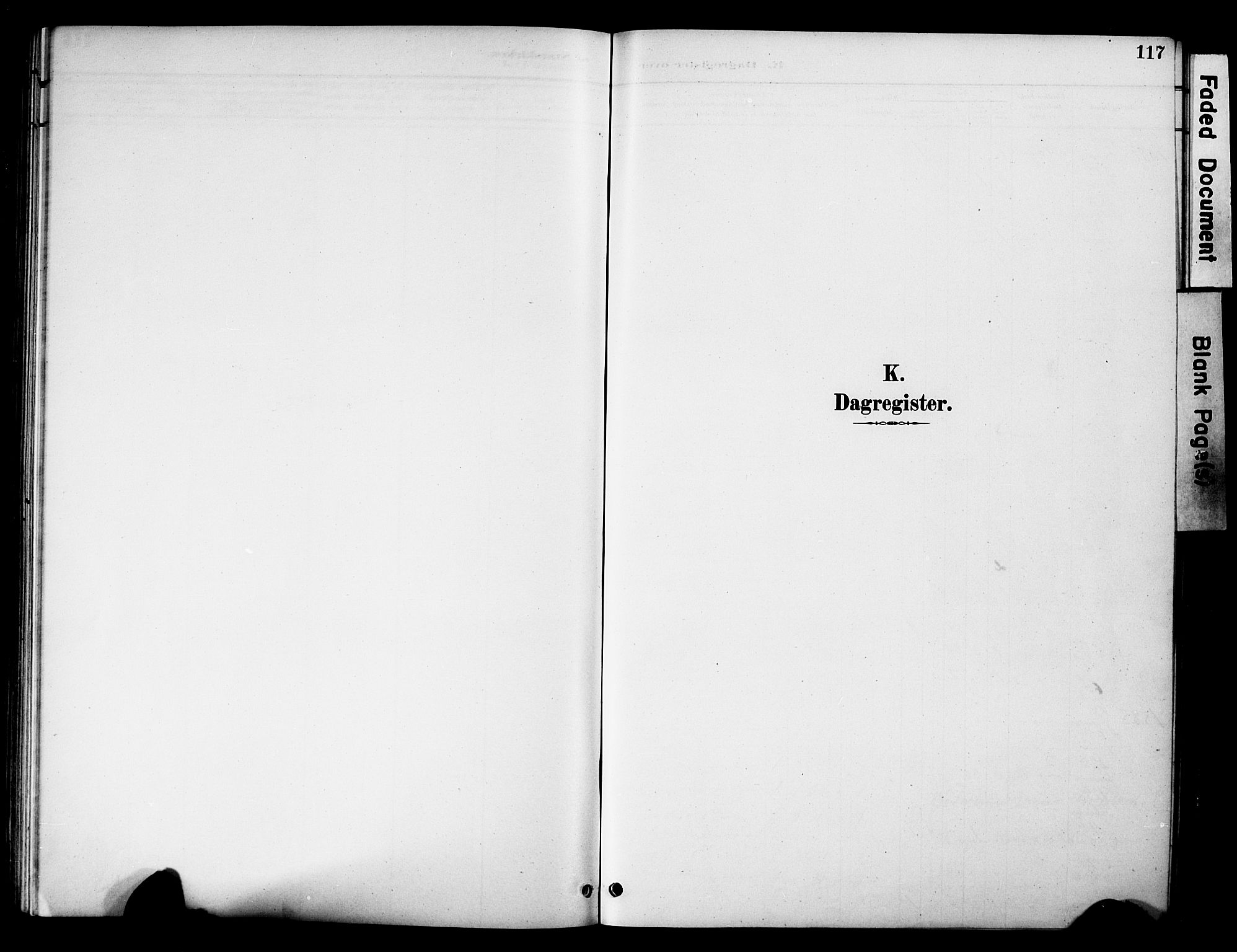 Øystre Slidre prestekontor, AV/SAH-PREST-138/H/Ha/Hab/L0005: Klokkerbok nr. 5, 1887-1910, s. 117