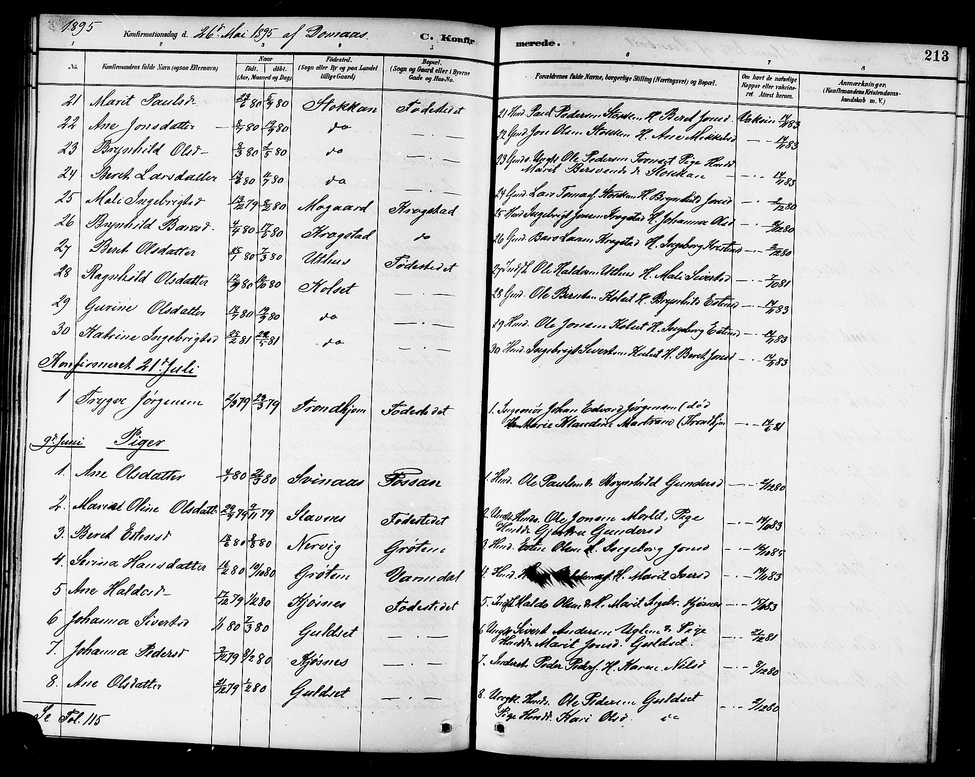 Ministerialprotokoller, klokkerbøker og fødselsregistre - Sør-Trøndelag, AV/SAT-A-1456/695/L1157: Klokkerbok nr. 695C08, 1889-1913, s. 213