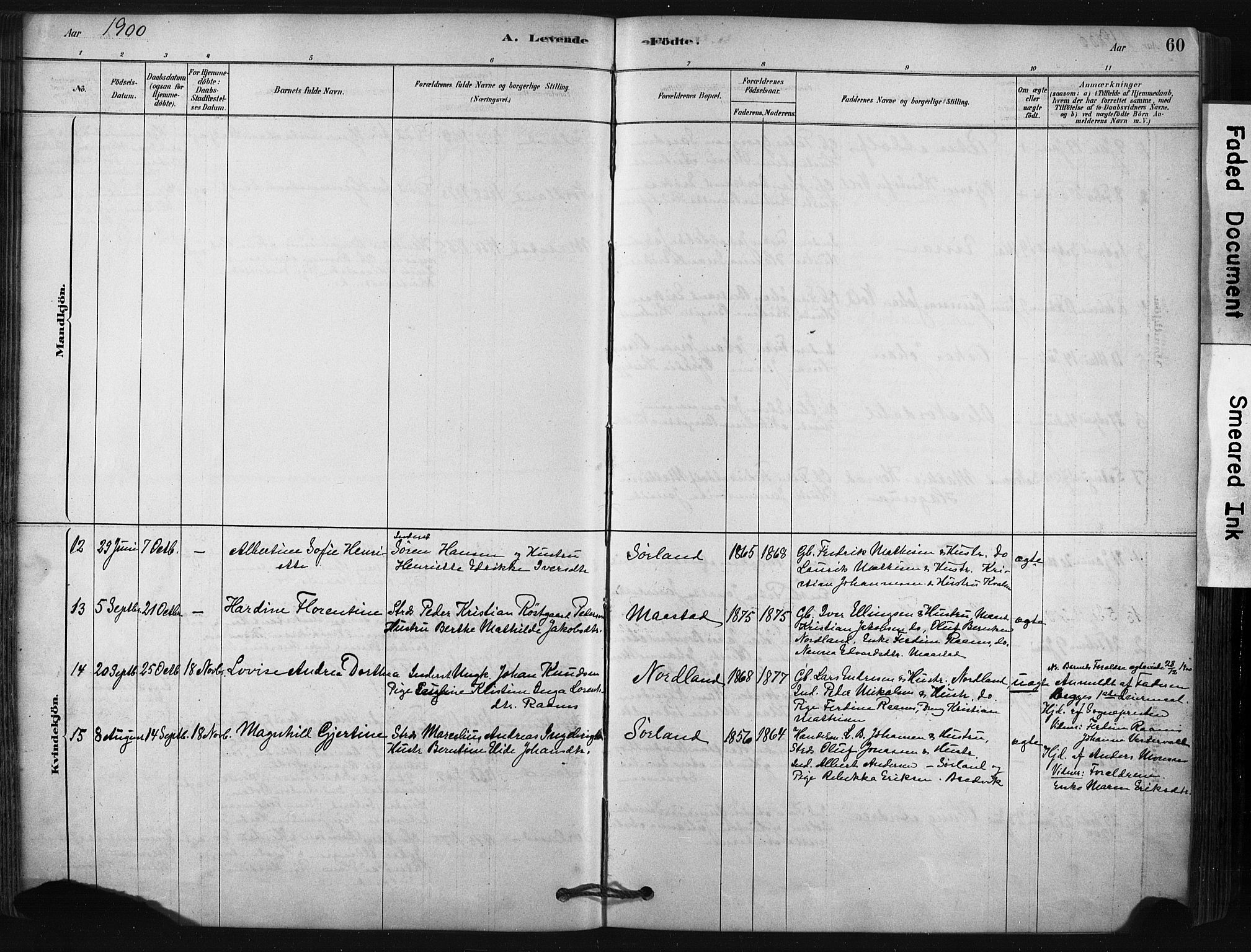 Ministerialprotokoller, klokkerbøker og fødselsregistre - Nordland, AV/SAT-A-1459/807/L0122: Ministerialbok nr. 807A05, 1880-1902, s. 60