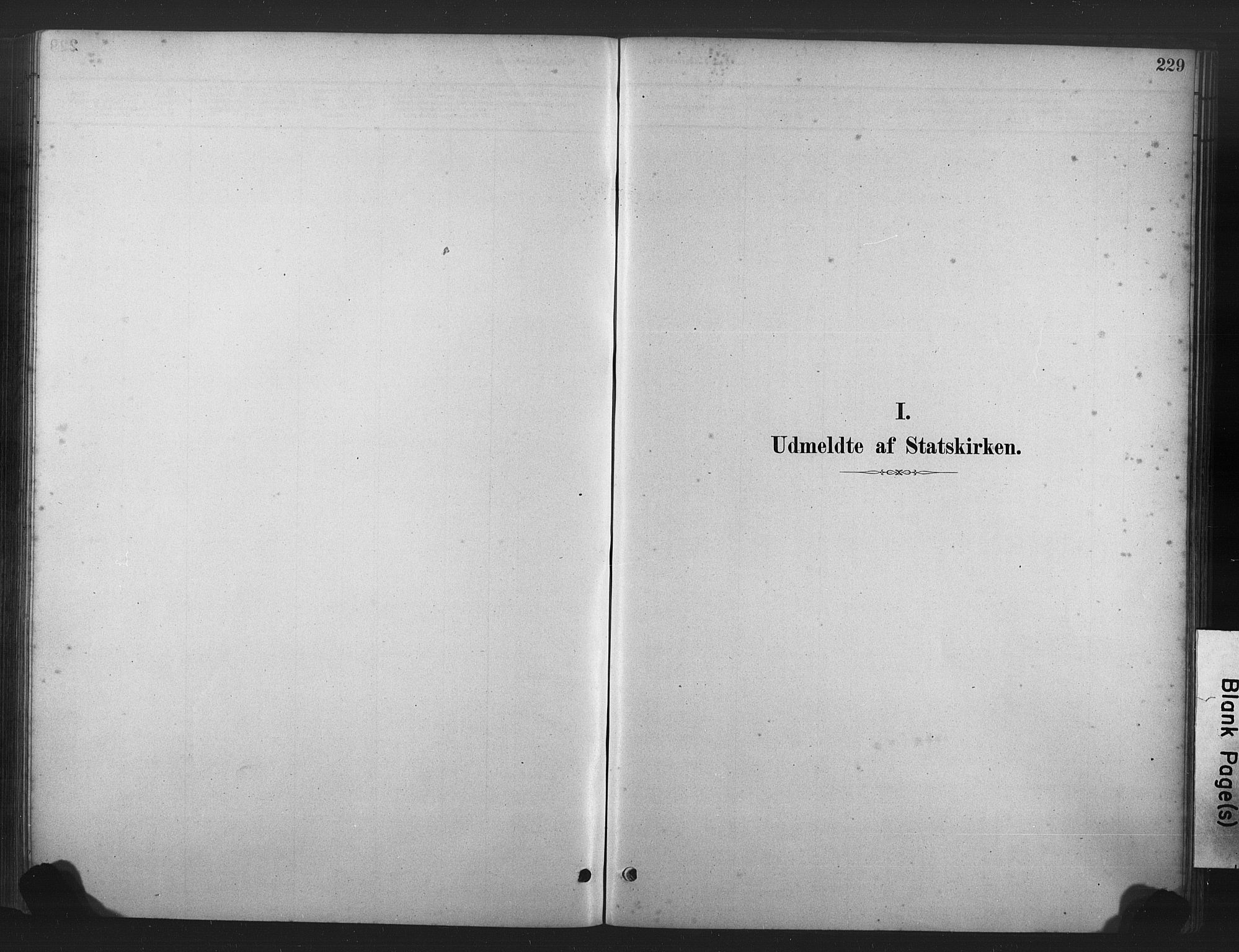 Ministerialprotokoller, klokkerbøker og fødselsregistre - Møre og Romsdal, SAT/A-1454/583/L0954: Ministerialbok nr. 583A01, 1880-1906, s. 229