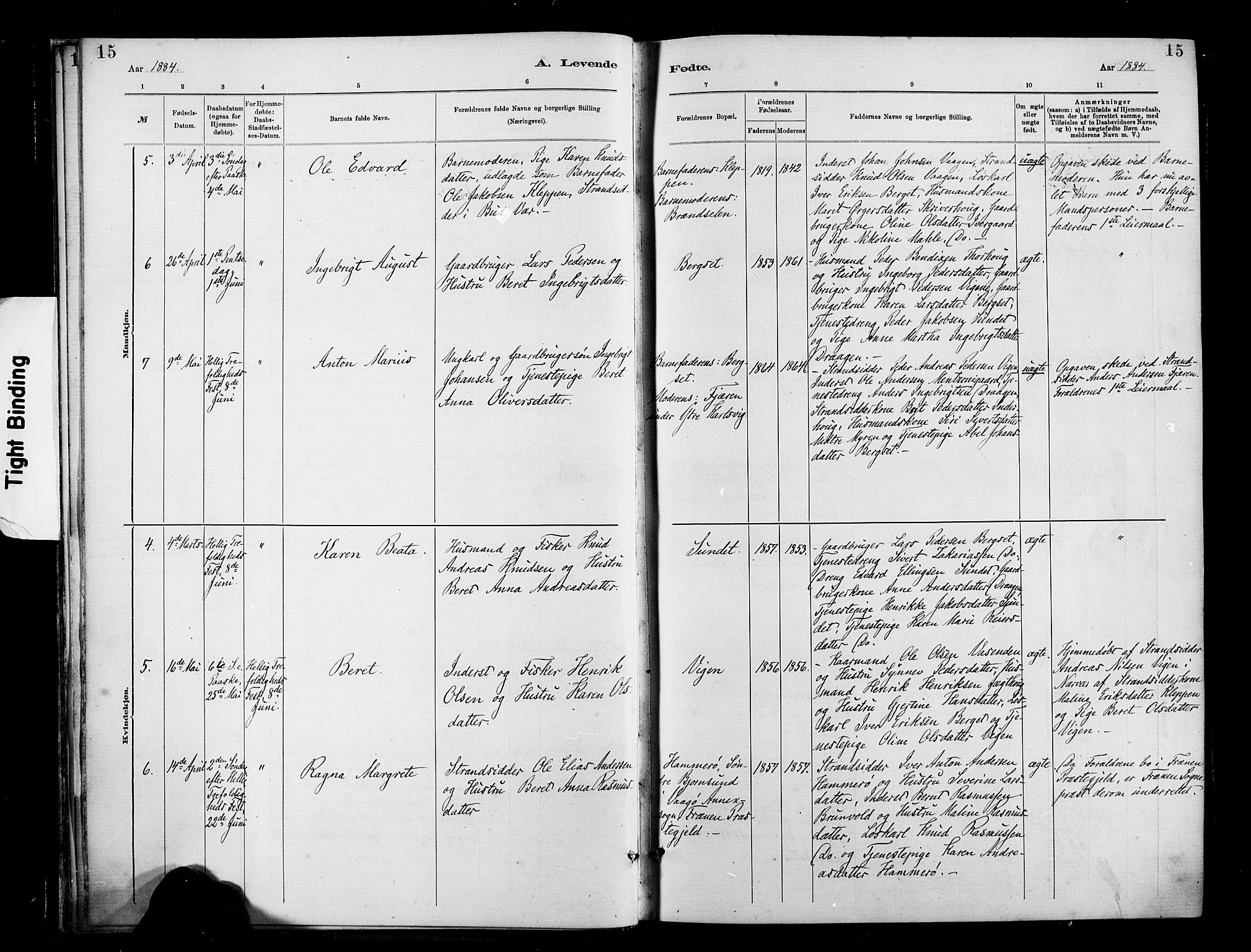 Ministerialprotokoller, klokkerbøker og fødselsregistre - Møre og Romsdal, AV/SAT-A-1454/566/L0769: Ministerialbok nr. 566A08, 1881-1903, s. 15