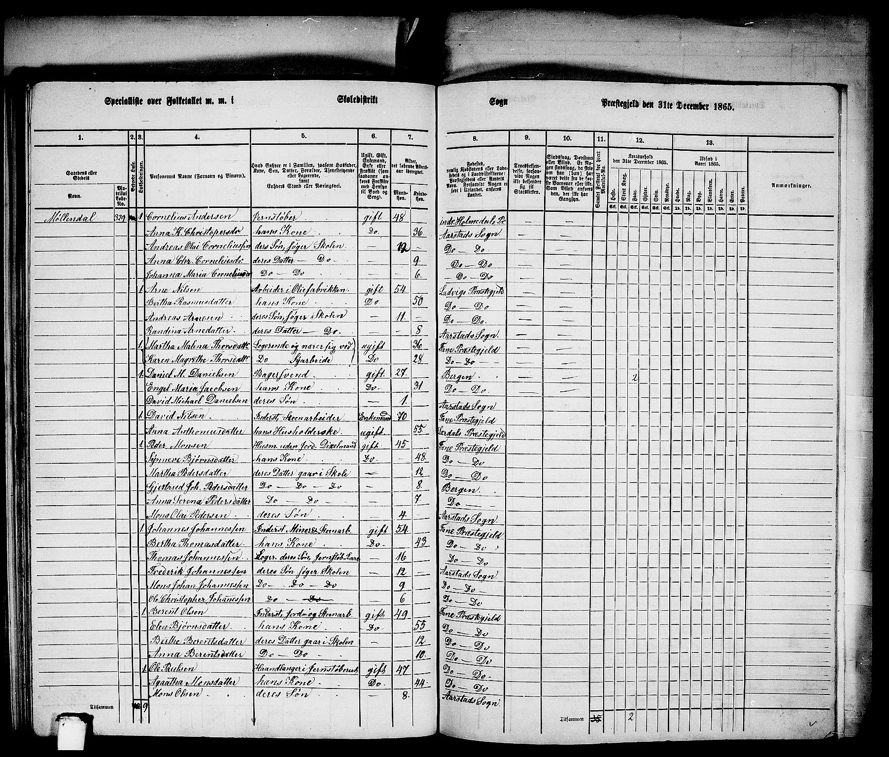 RA, Folketelling 1865 for 1280L St. Jørgens Hospital prestegjeld, Årstad landsokn, 1865, s. 8