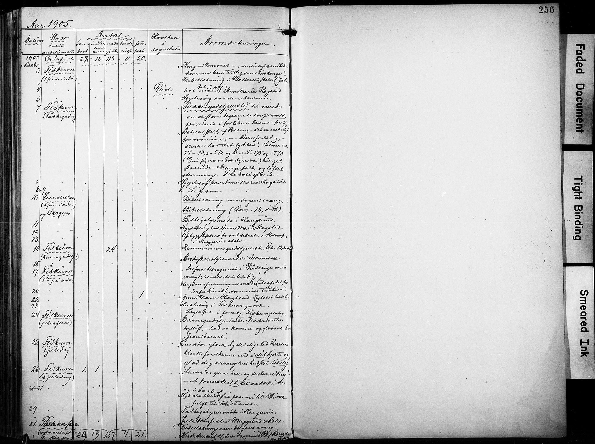 Fiskum kirkebøker, AV/SAKO-A-15/F/Fa/L0003: Ministerialbok nr. 3, 1890-1905, s. 256