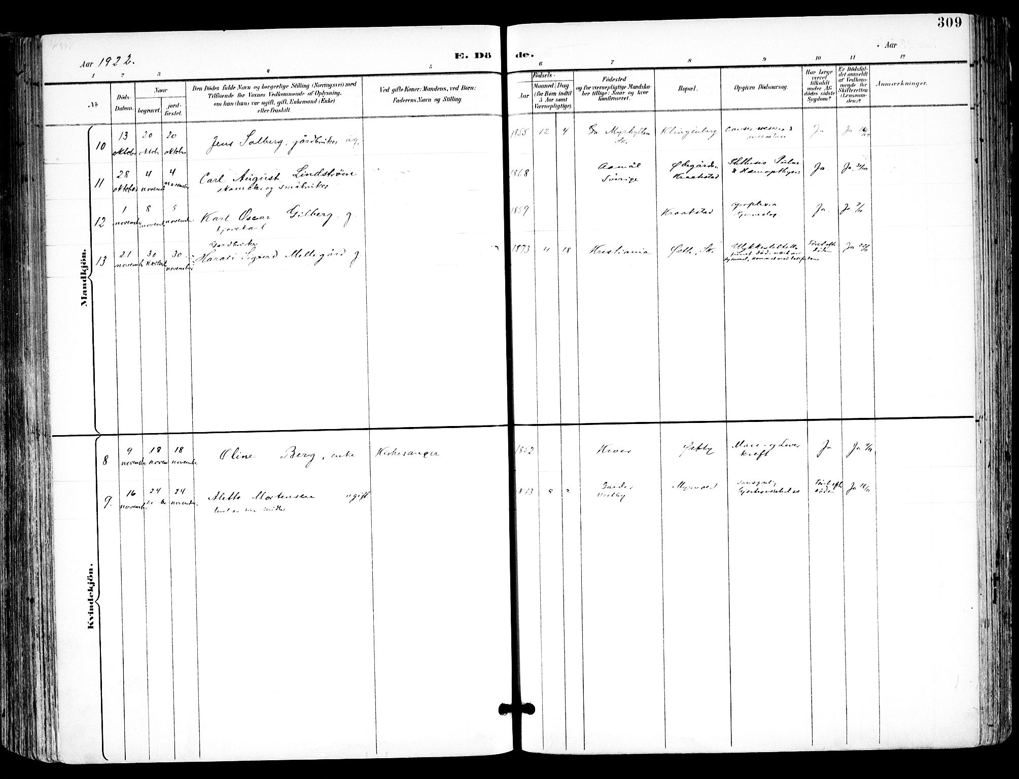 Kråkstad prestekontor Kirkebøker, SAO/A-10125a/F/Fa/L0010: Ministerialbok nr. I 10, 1893-1931, s. 309