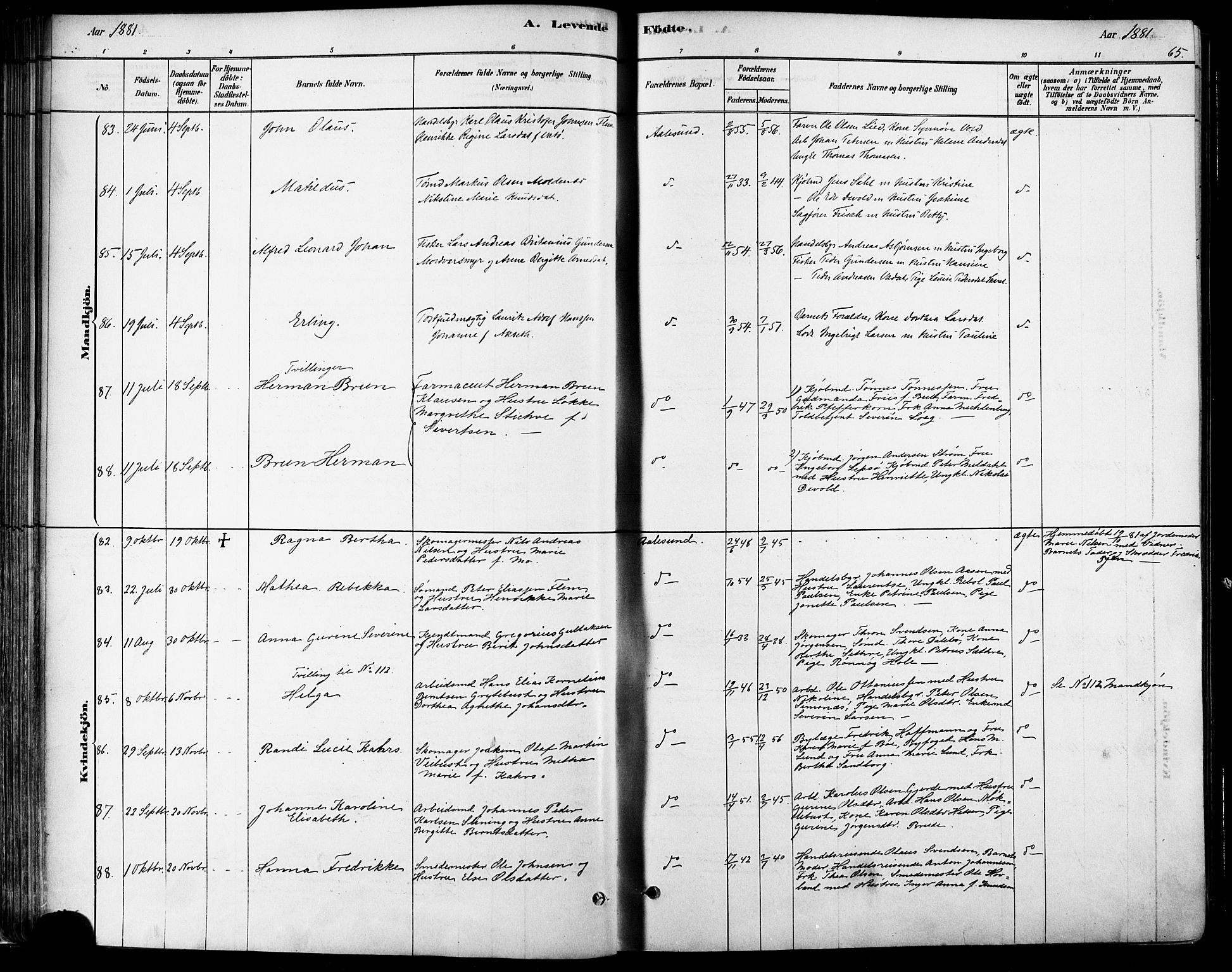 Ministerialprotokoller, klokkerbøker og fødselsregistre - Møre og Romsdal, SAT/A-1454/529/L0454: Ministerialbok nr. 529A04, 1878-1885, s. 65