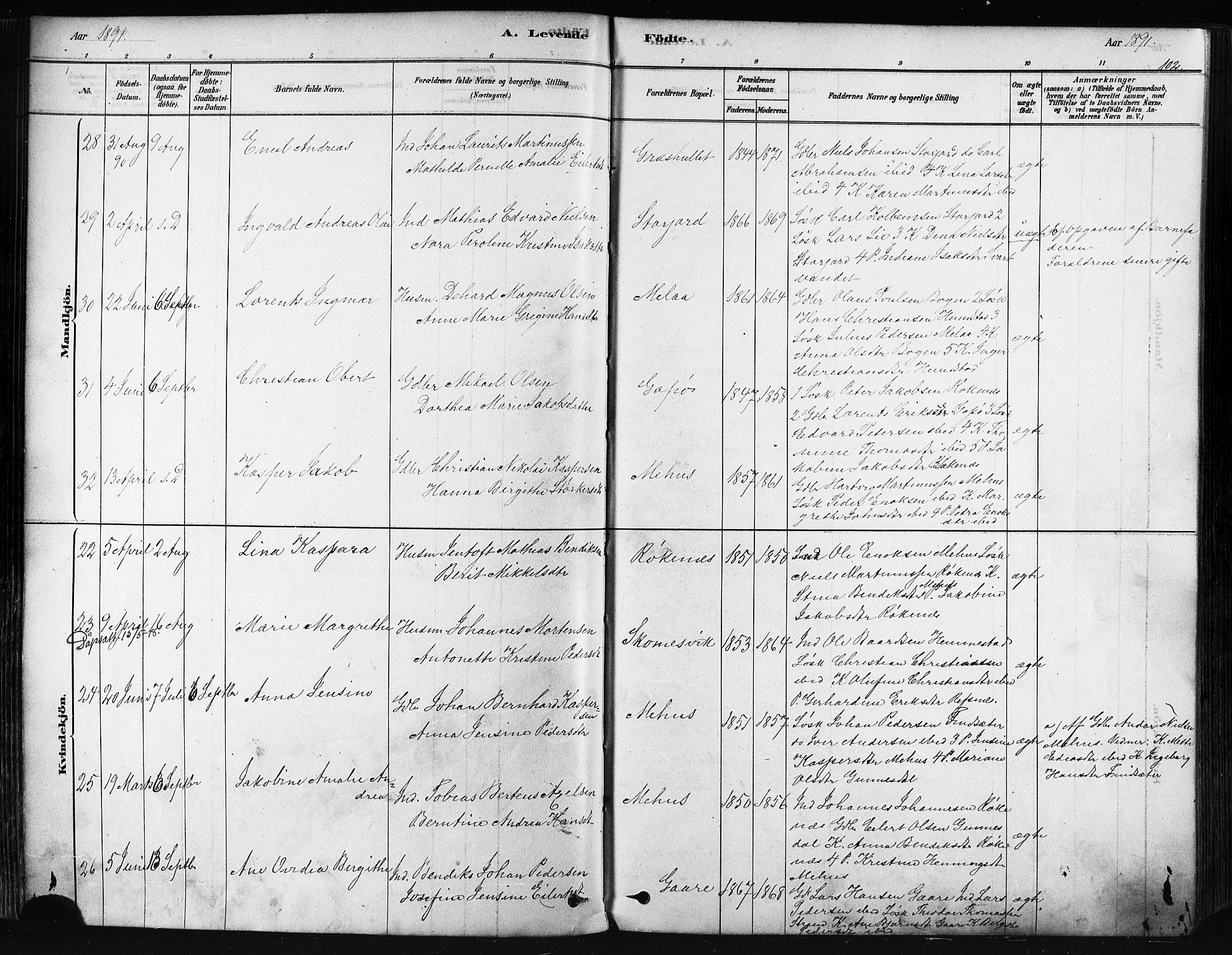 Kvæfjord sokneprestkontor, AV/SATØ-S-1323/G/Ga/Gaa/L0005kirke: Ministerialbok nr. 5, 1878-1894, s. 102