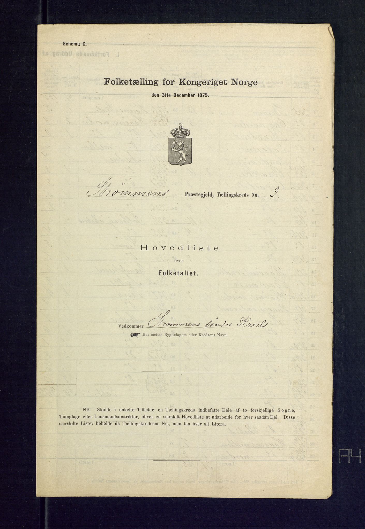 SAKO, Folketelling 1875 for 0711L Strømm prestegjeld, Strømm sokn, 1875, s. 11