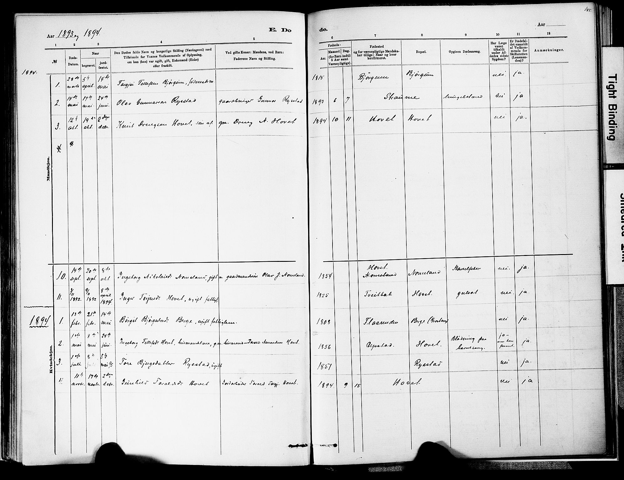 Valle sokneprestkontor, SAK/1111-0044/F/Fa/Fab/L0001: Ministerialbok nr. A 1, 1882-1910, s. 145