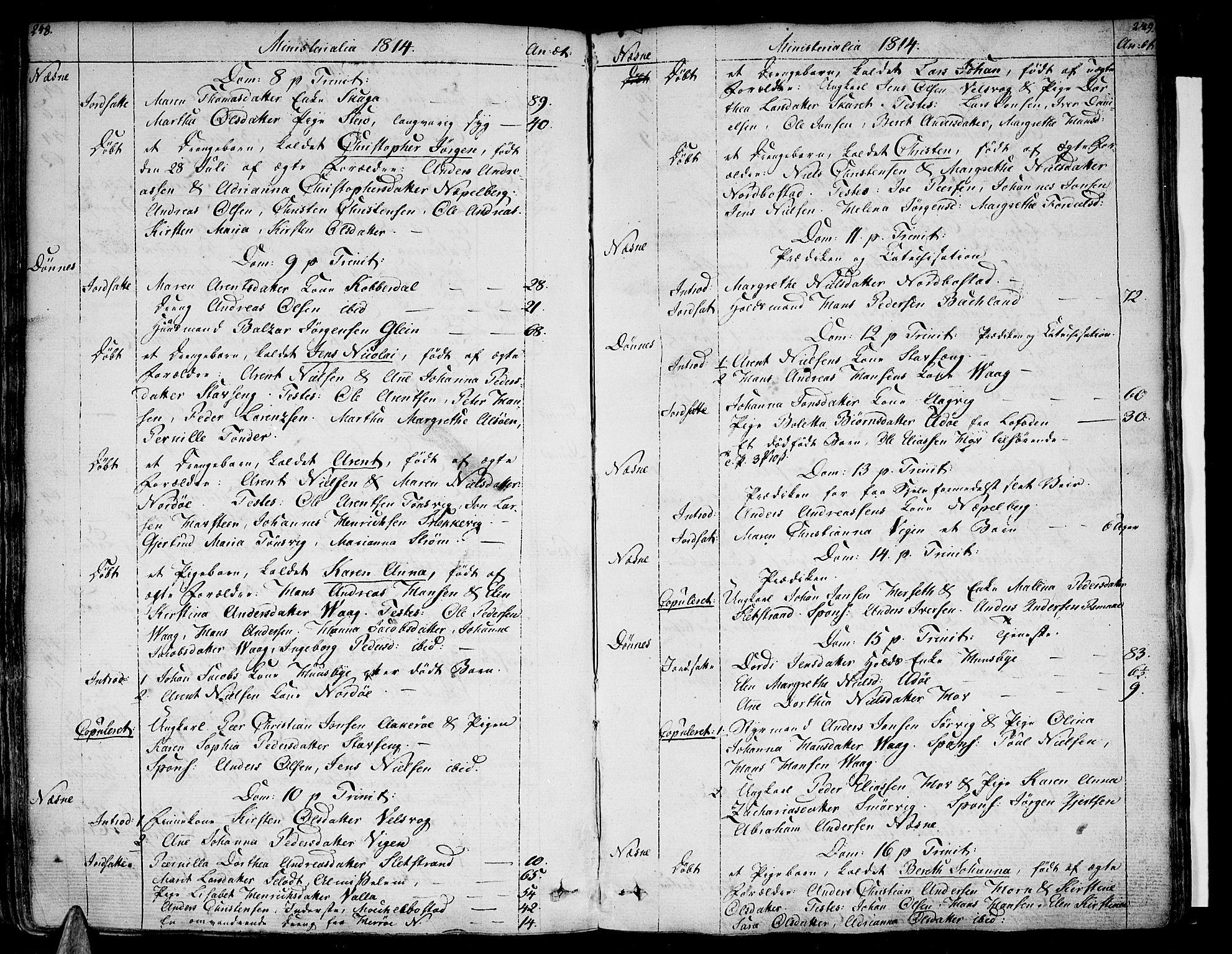 Ministerialprotokoller, klokkerbøker og fødselsregistre - Nordland, AV/SAT-A-1459/838/L0545: Ministerialbok nr. 838A04, 1791-1820, s. 248-249