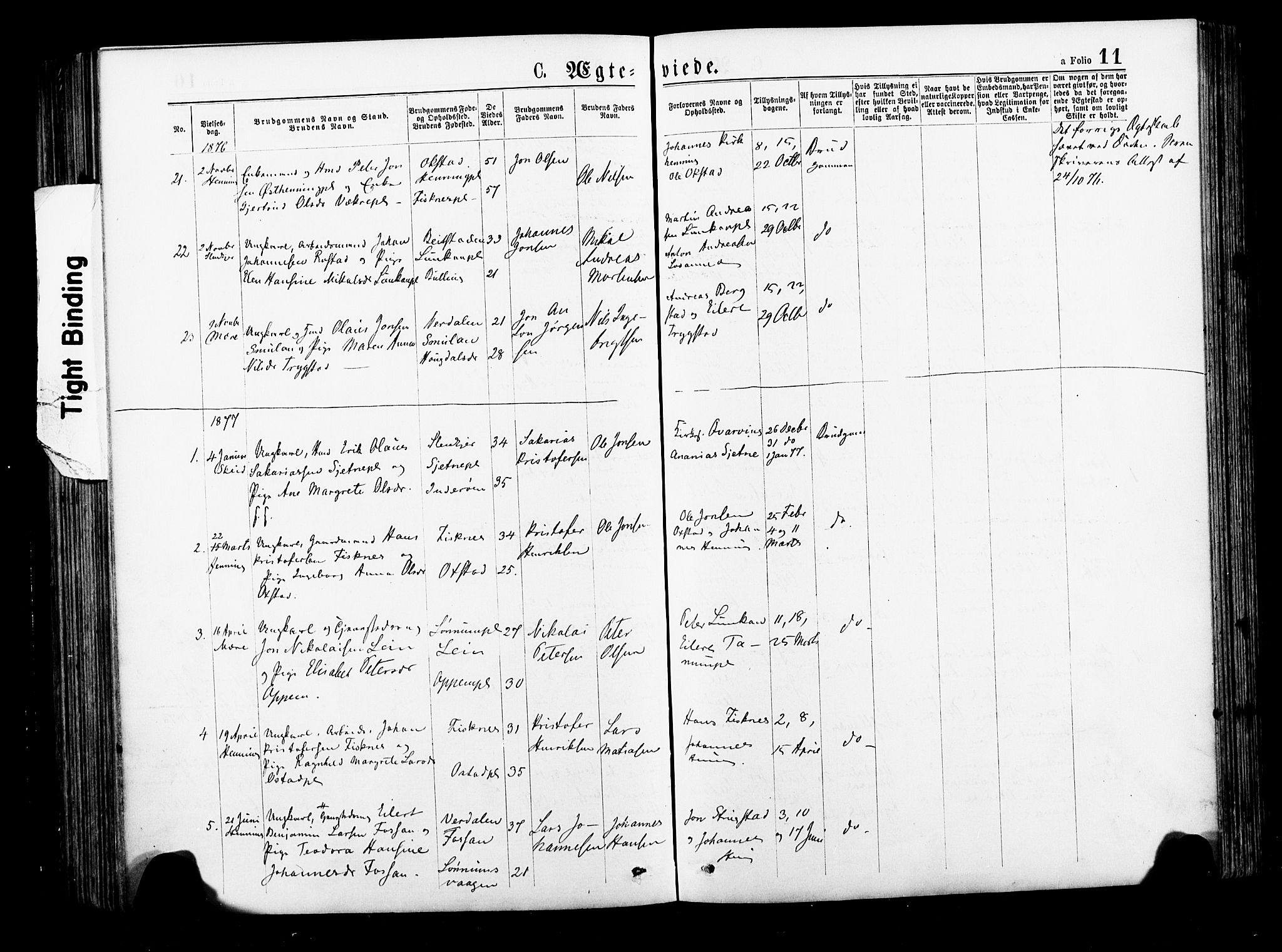 Ministerialprotokoller, klokkerbøker og fødselsregistre - Nord-Trøndelag, AV/SAT-A-1458/735/L0348: Ministerialbok nr. 735A09 /1, 1873-1883, s. 11