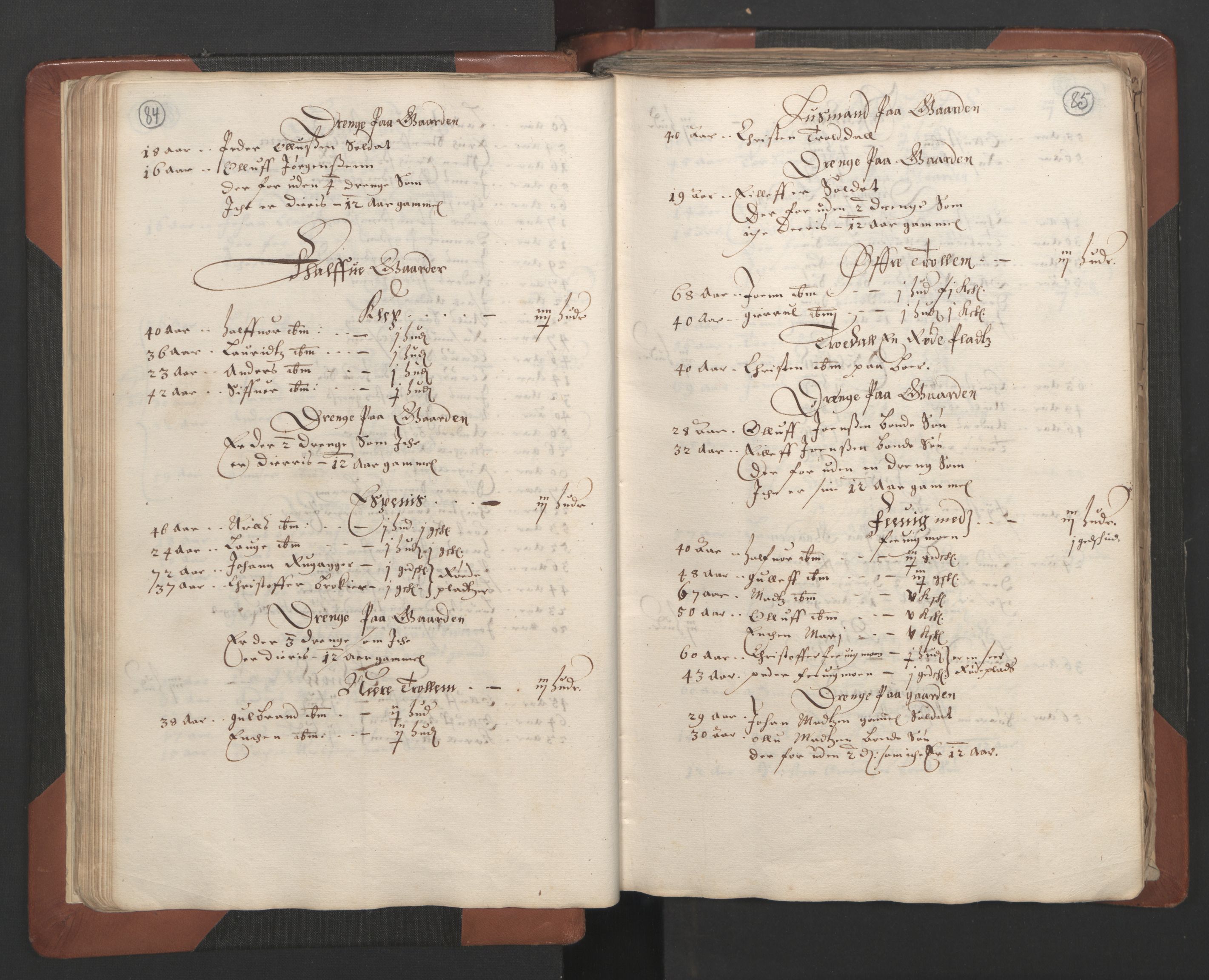 RA, Fogdenes og sorenskrivernes manntall 1664-1666, nr. 7: Nedenes fogderi, 1664-1666, s. 84-85