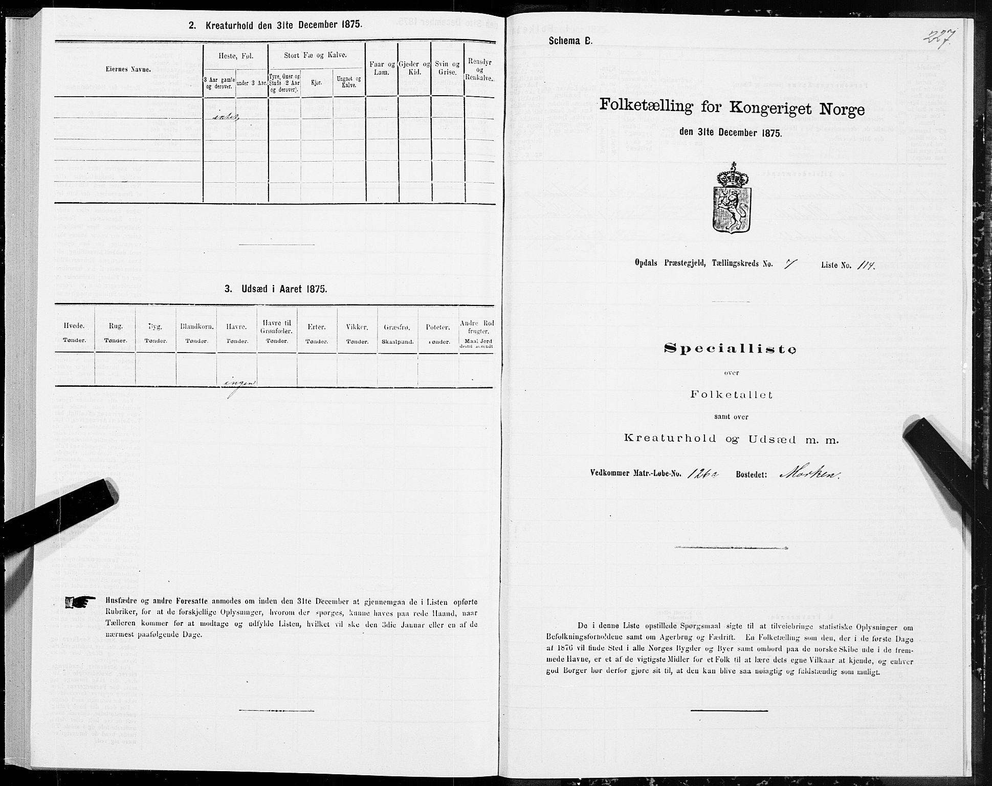 SAT, Folketelling 1875 for 1634P Oppdal prestegjeld, 1875, s. 4227