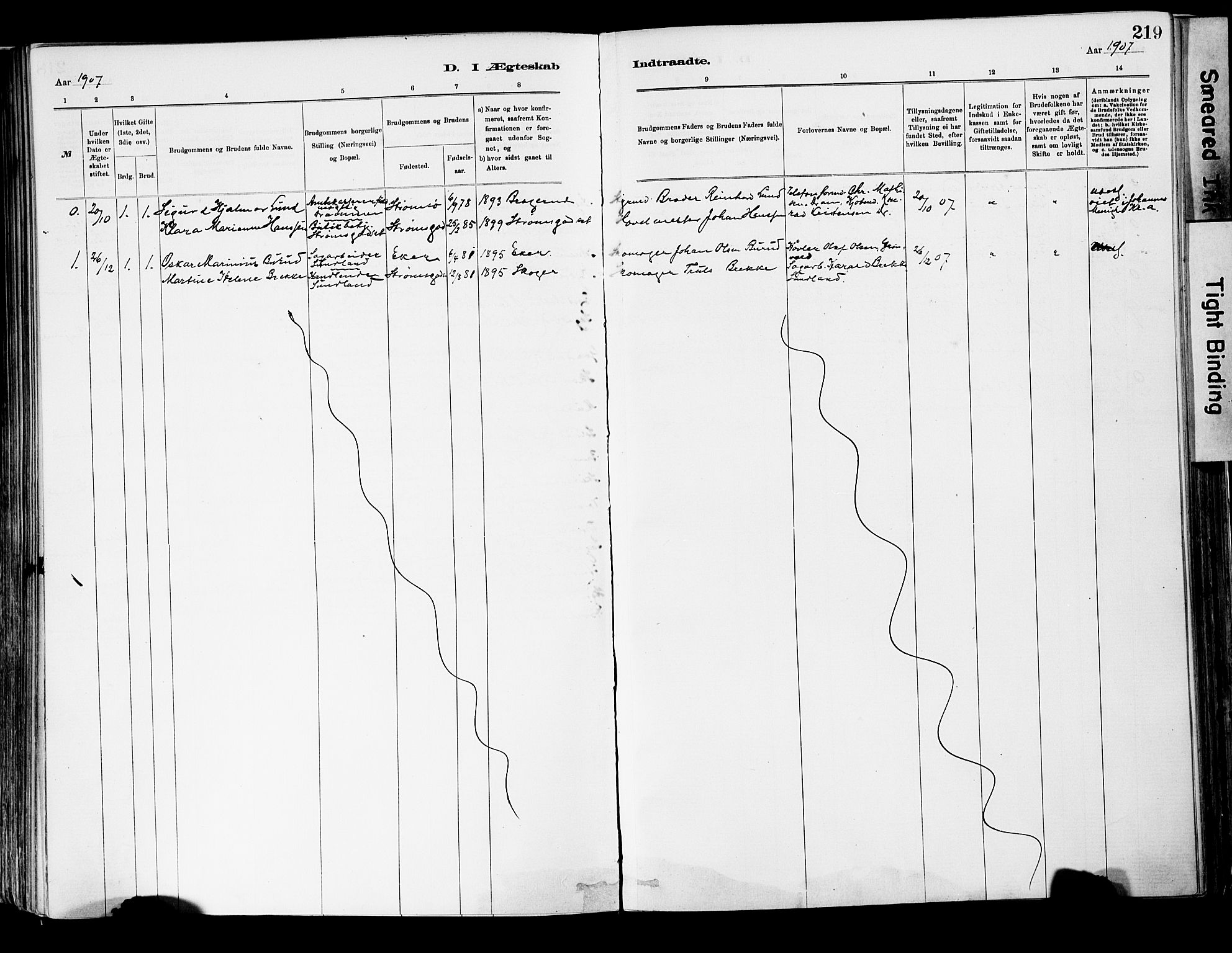 Strømsgodset kirkebøker, AV/SAKO-A-324/F/Fa/L0001: Ministerialbok nr. 1, 1885-1909, s. 219