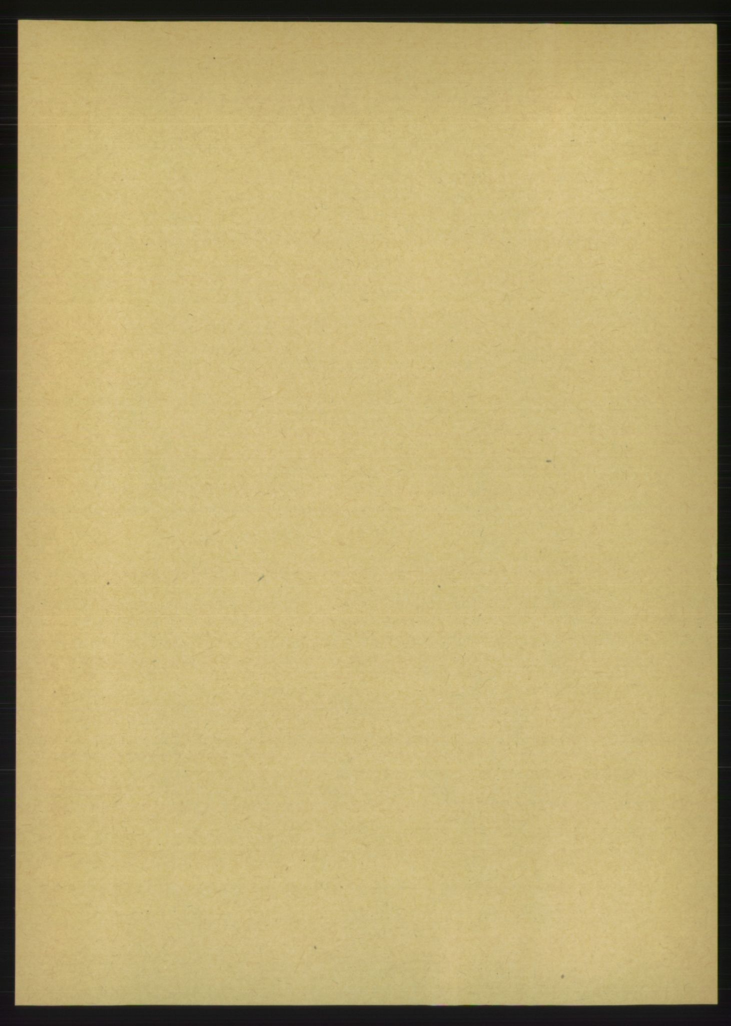 RA, Folketelling 1891 for 1660 Strinda herred, 1891, s. 3807