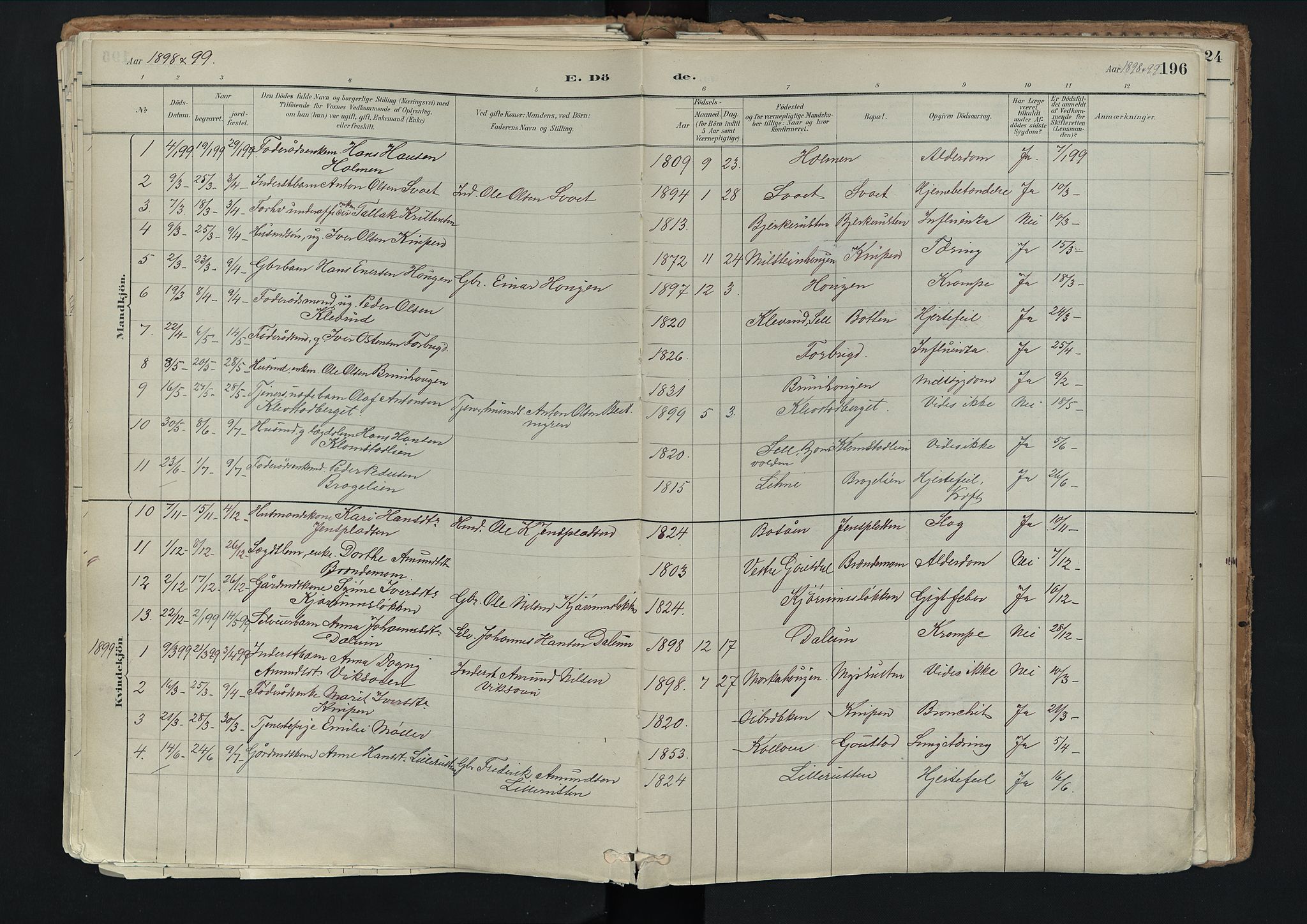 Nord-Fron prestekontor, AV/SAH-PREST-080/H/Ha/Haa/L0003: Ministerialbok nr. 3, 1884-1914, s. 196