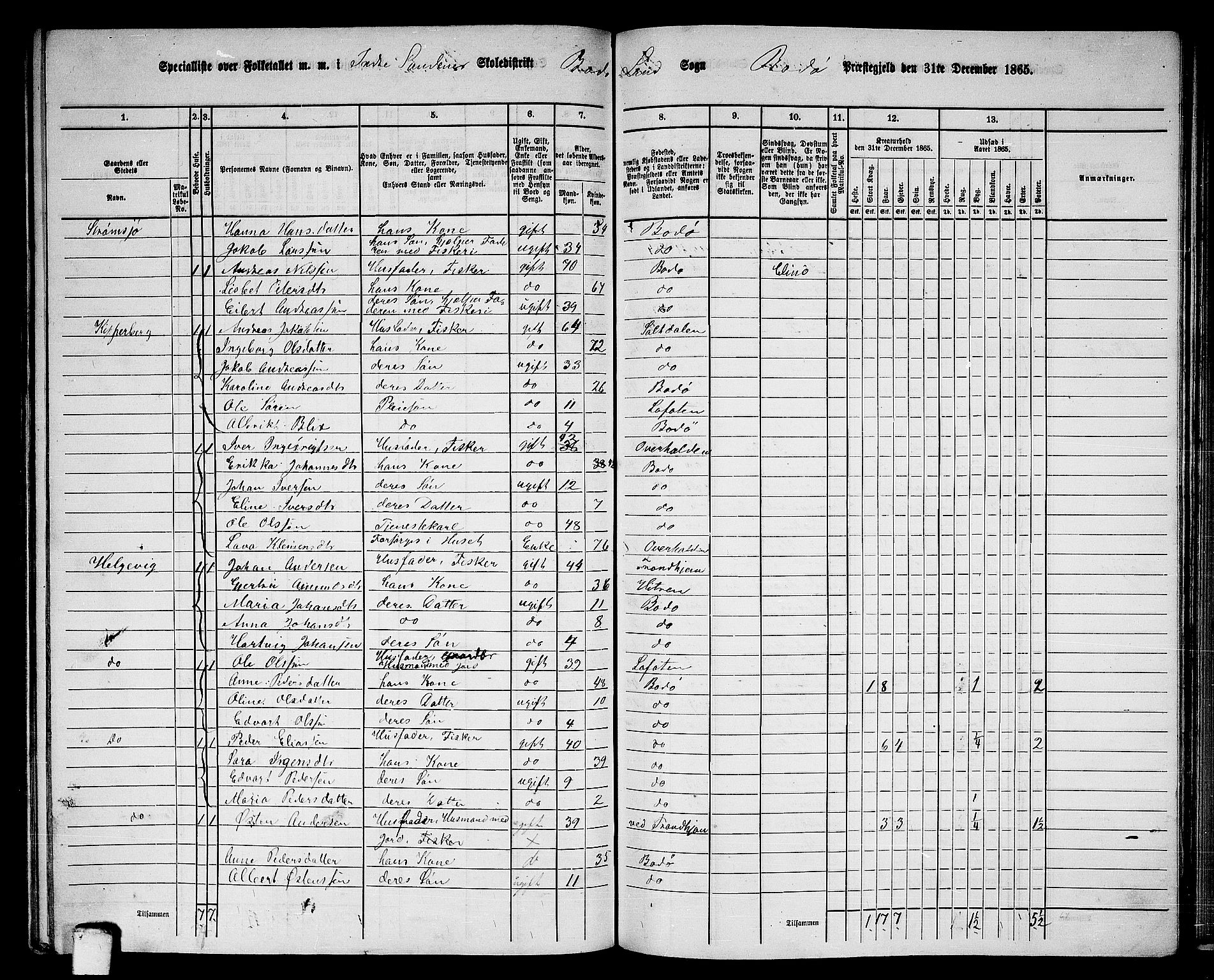 RA, Folketelling 1865 for 1843L Bodø prestegjeld, Bodø landsokn, 1865, s. 115