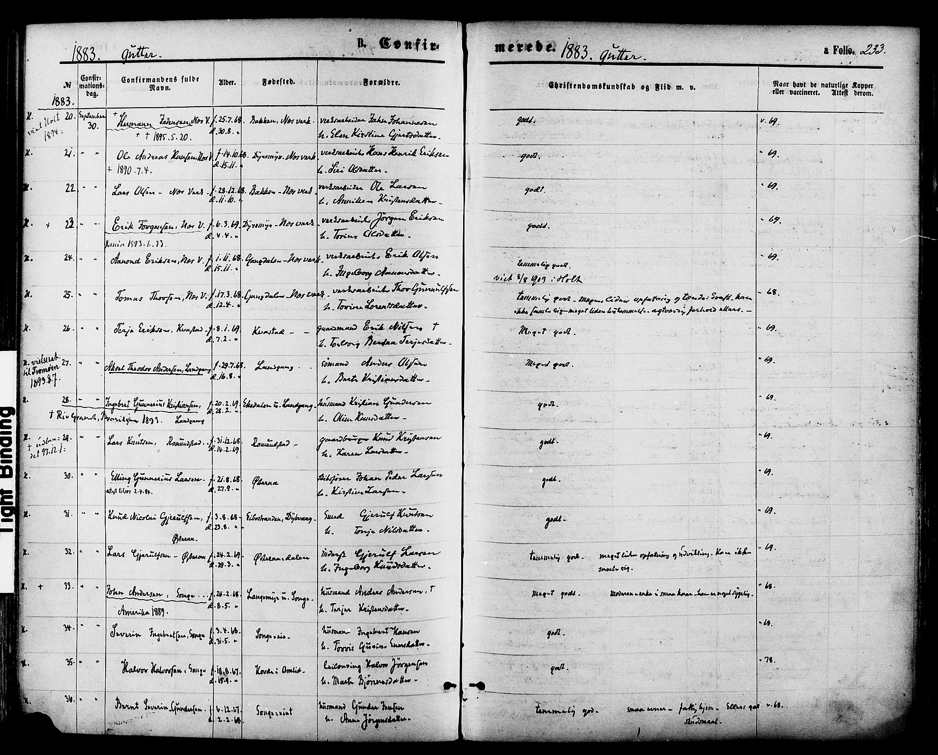 Holt sokneprestkontor, AV/SAK-1111-0021/F/Fa/L0010: Ministerialbok nr. A 10, 1872-1885, s. 233