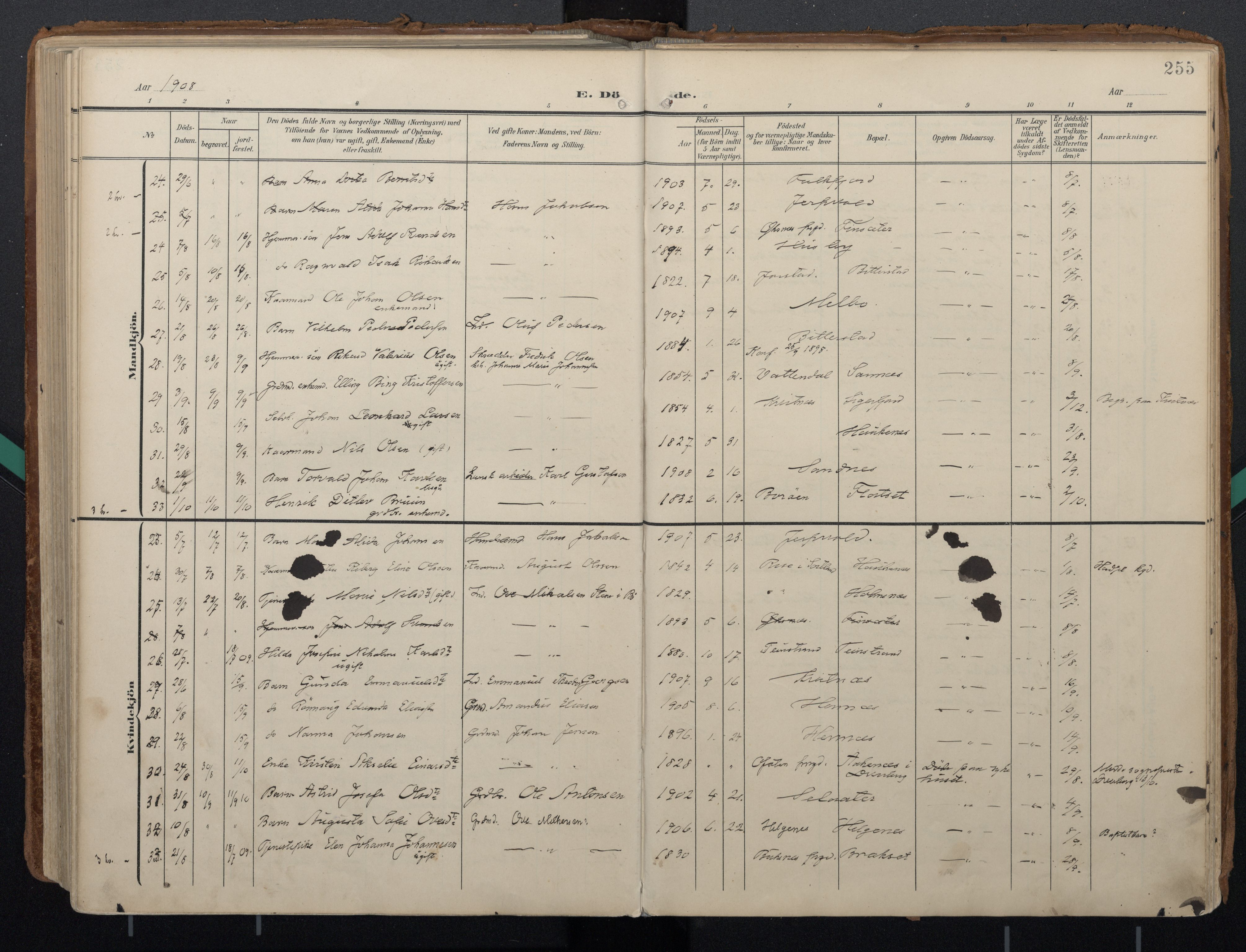 Ministerialprotokoller, klokkerbøker og fødselsregistre - Nordland, SAT/A-1459/888/L1248: Ministerialbok nr. 888A14, 1904-1913, s. 255